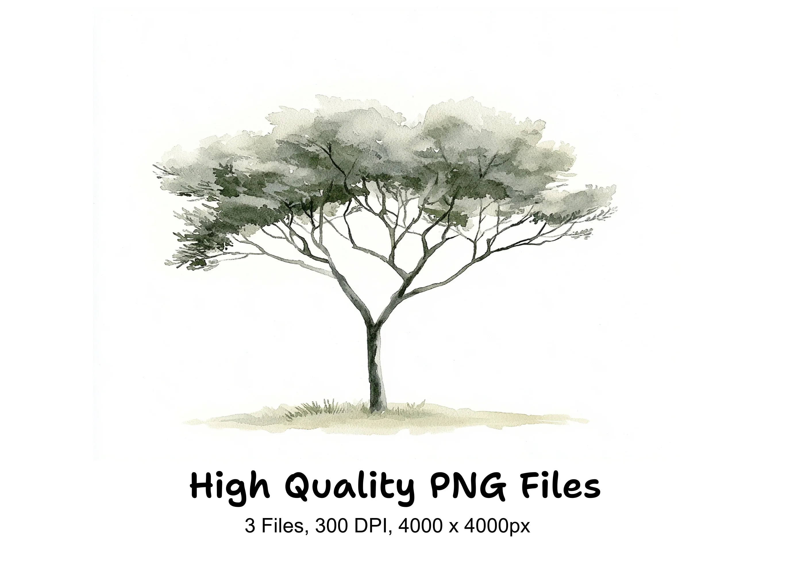 Tree Clipart Bundle