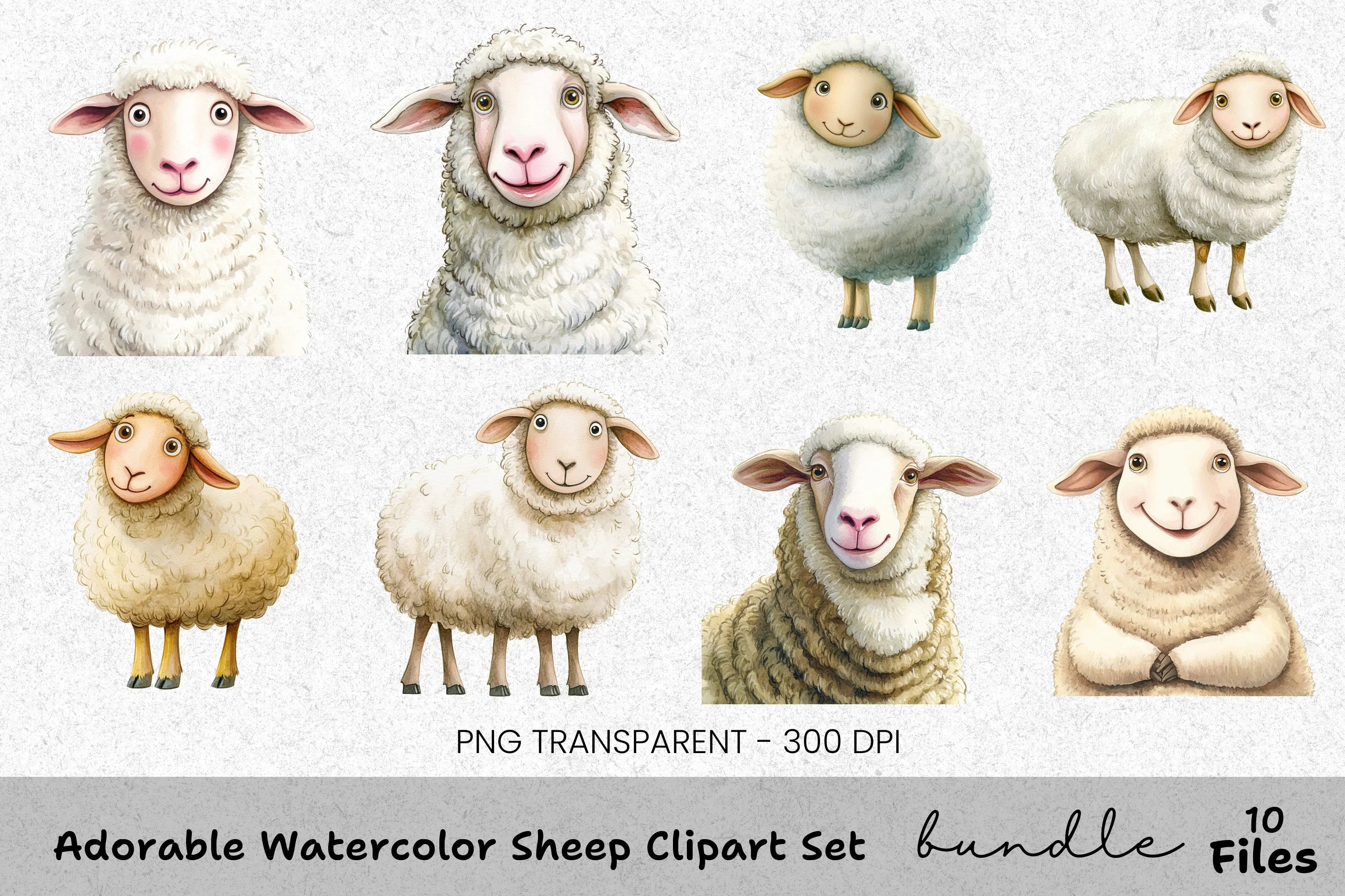 Adorable Sheep Clipart Bundle