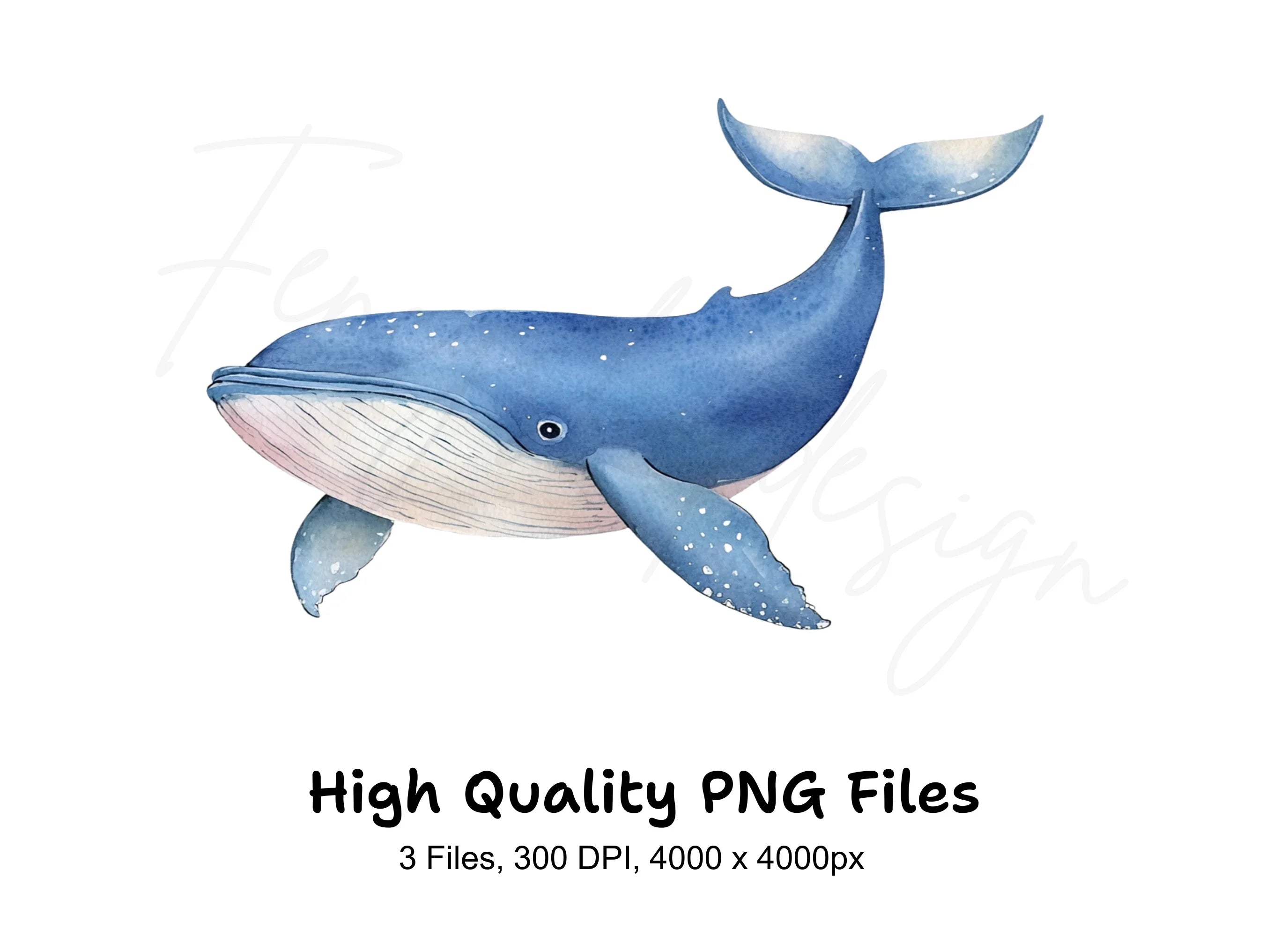 Blue Whale Ocean Clipart Bundle