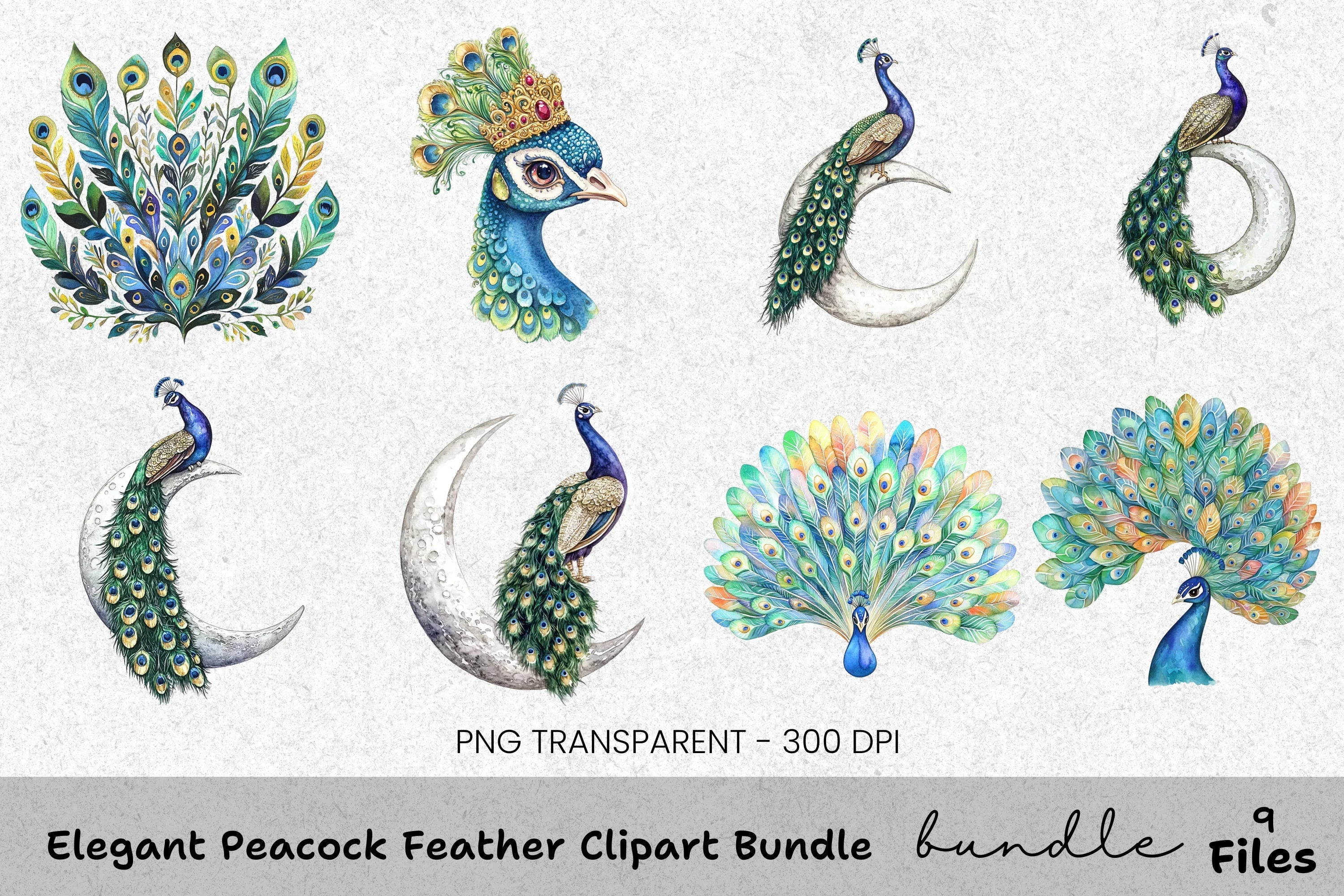 Elegant Peacock Feather Clipart Bundle
