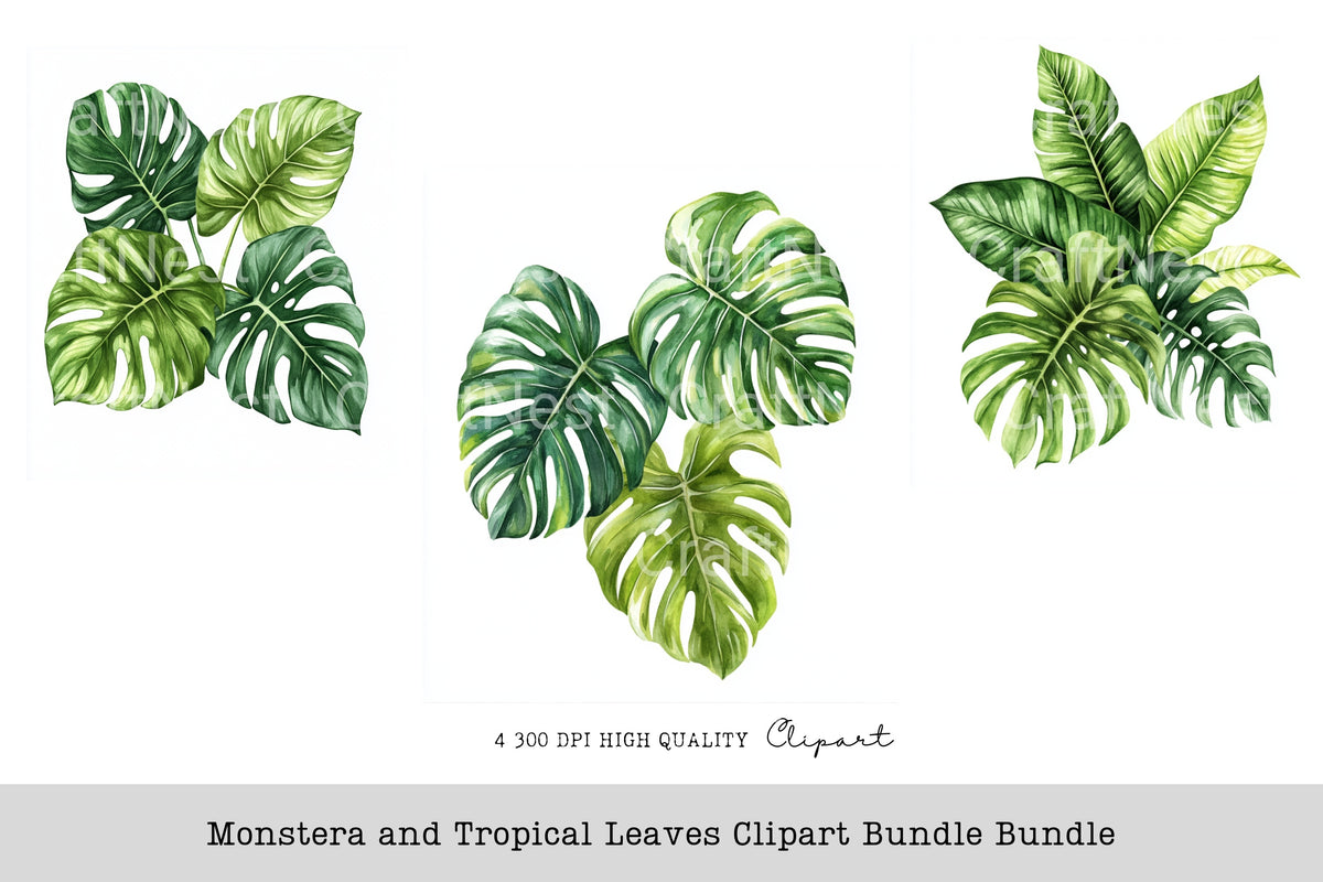 Monstera And Tropical Leaves Clipart Bundle