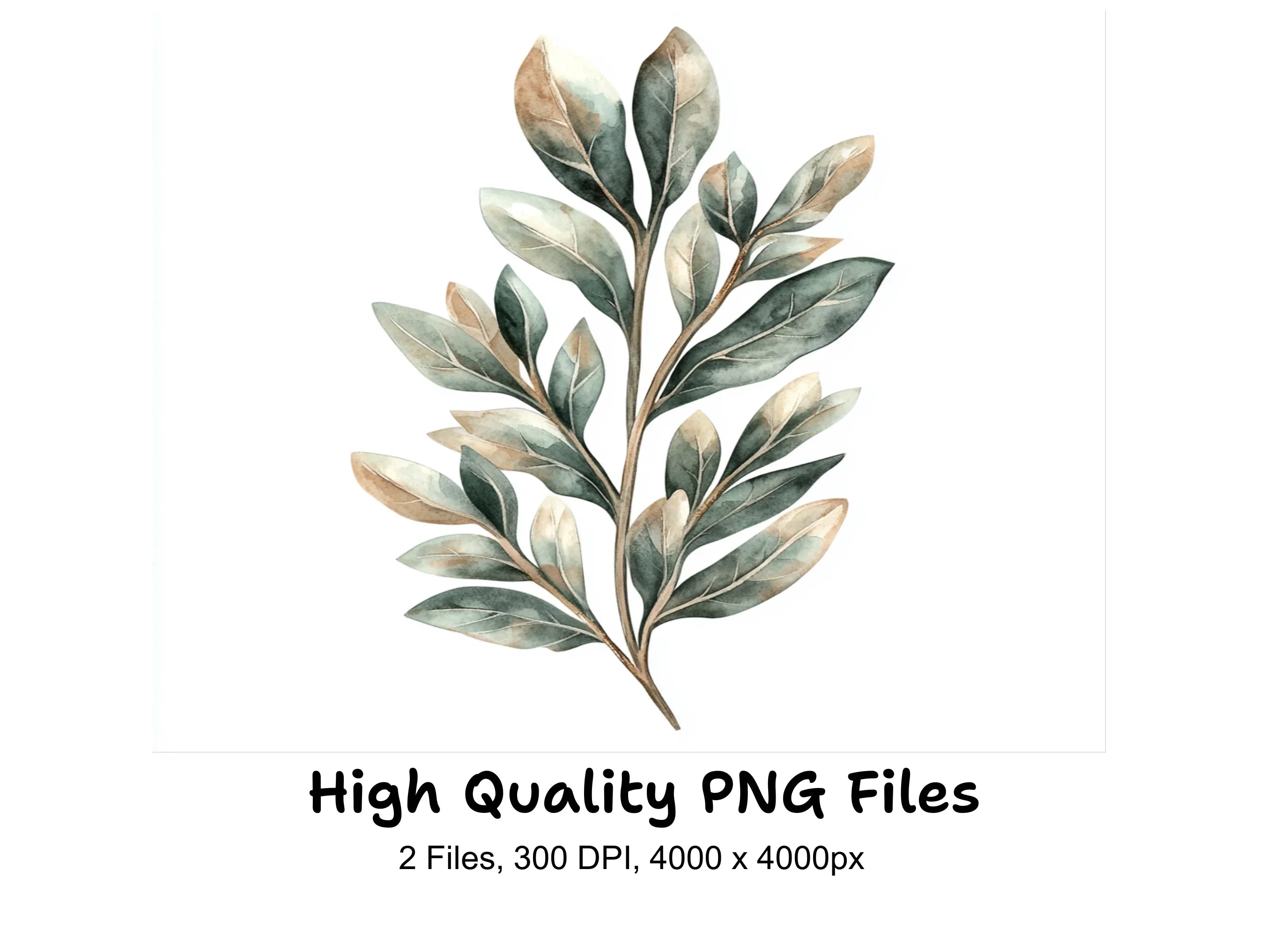 Botanical Leaves Clipart Bundle