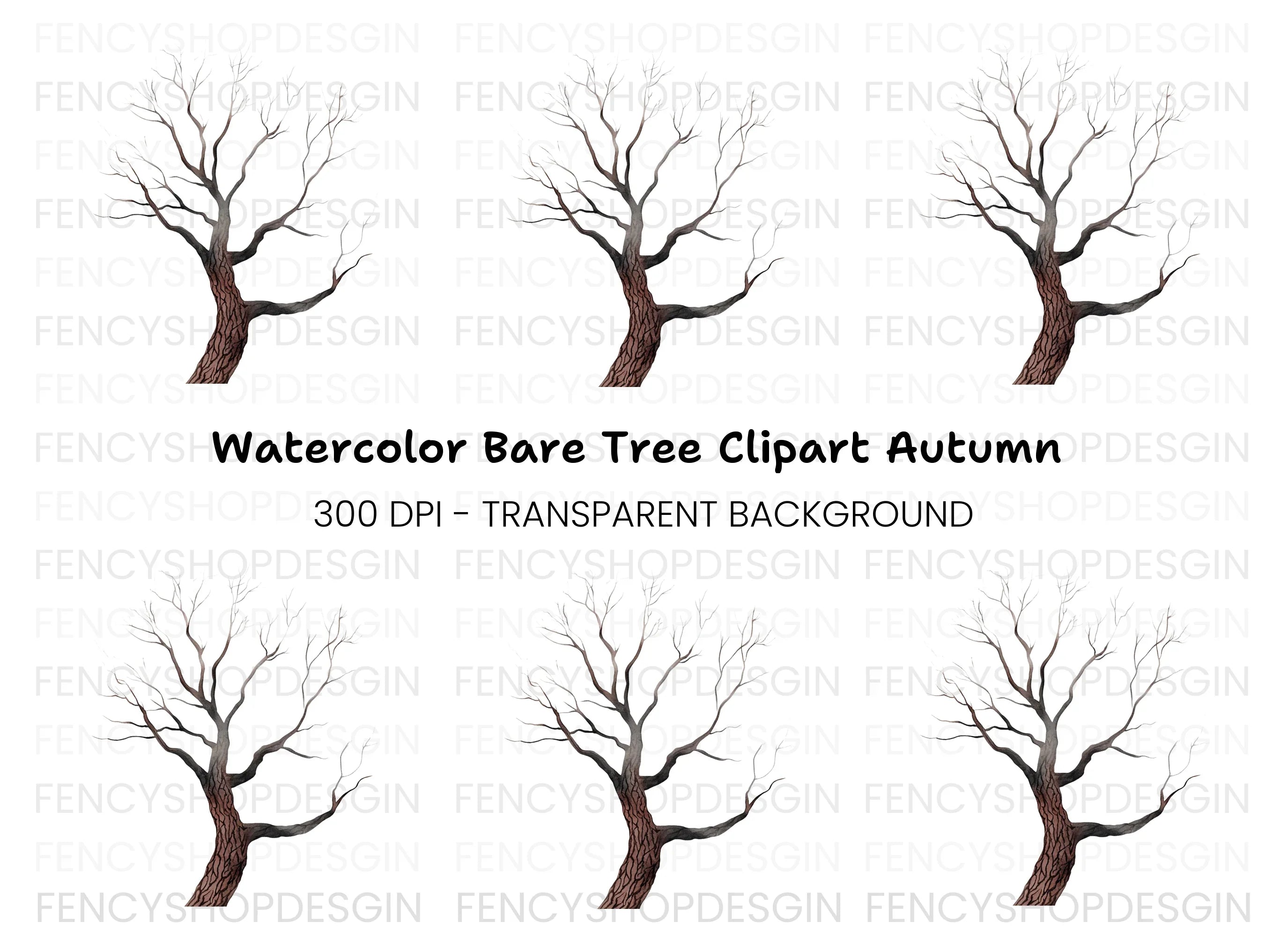 Bare Tree Branches Clipart Bundle
