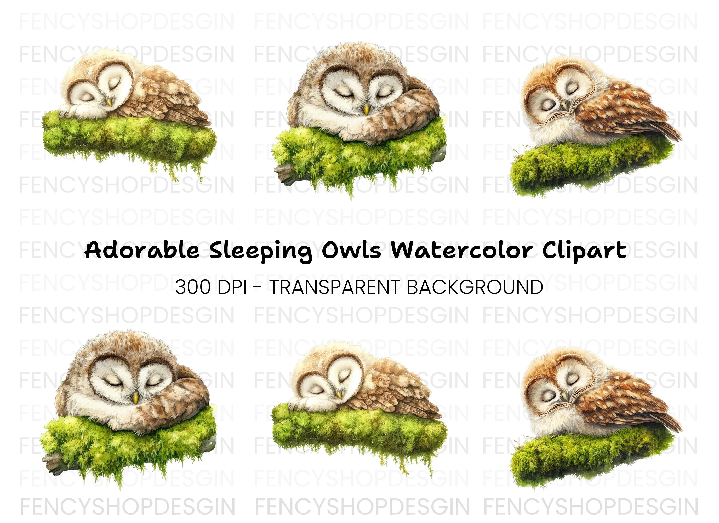 Sleeping Baby Owls on Moss Clipart Bundle