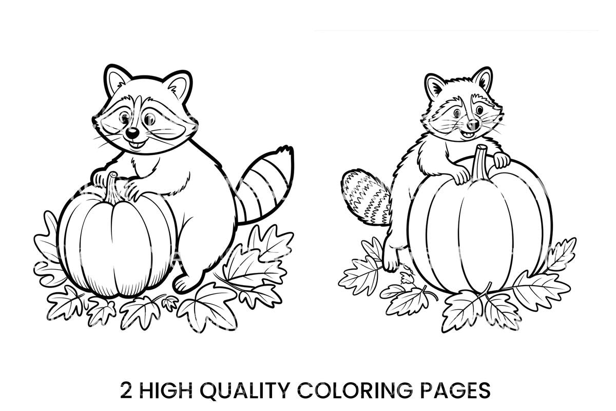 Cute Raccoon Pumpkin Coloring Books