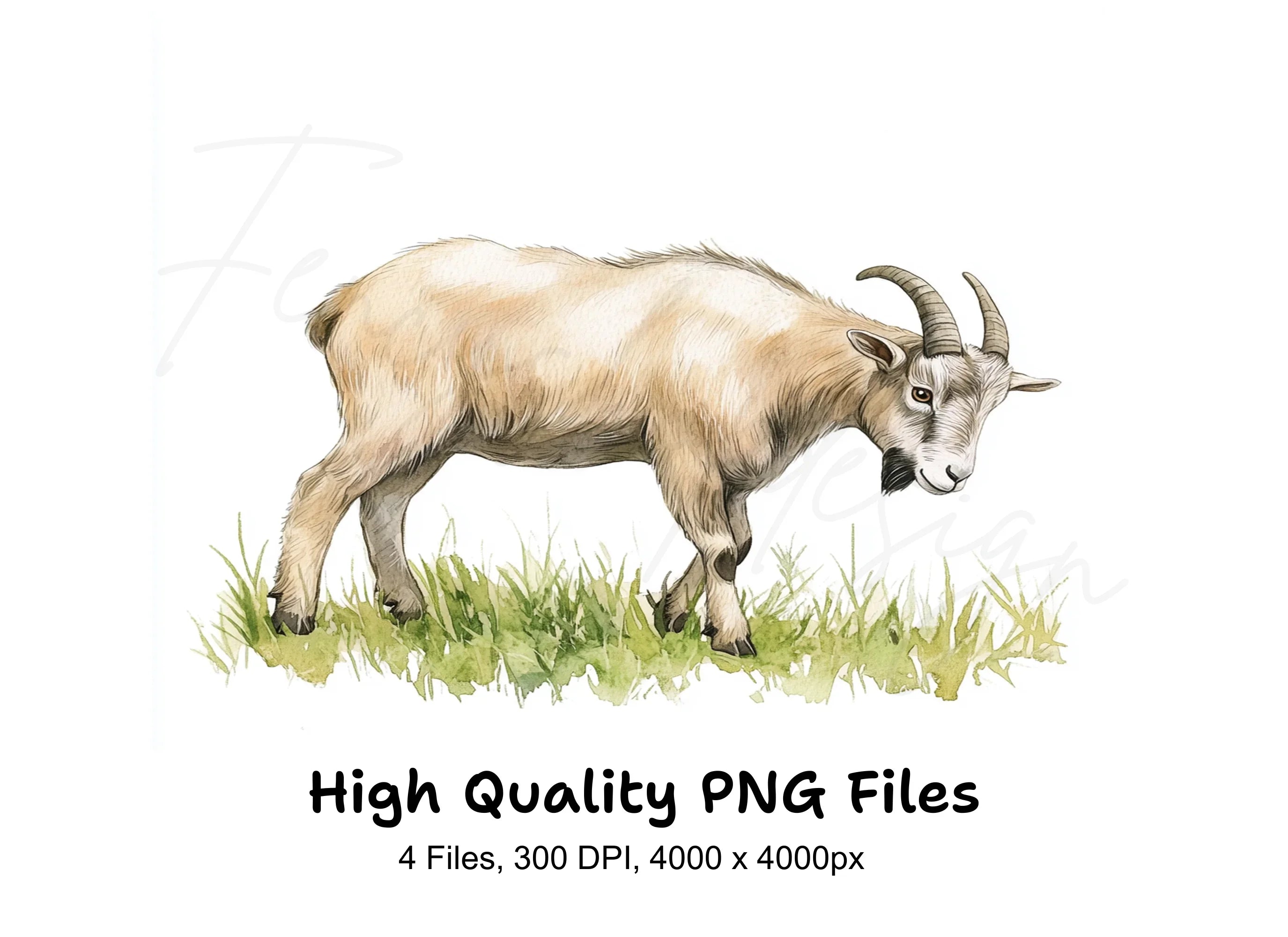 Goat Illustration Clipart Bundle