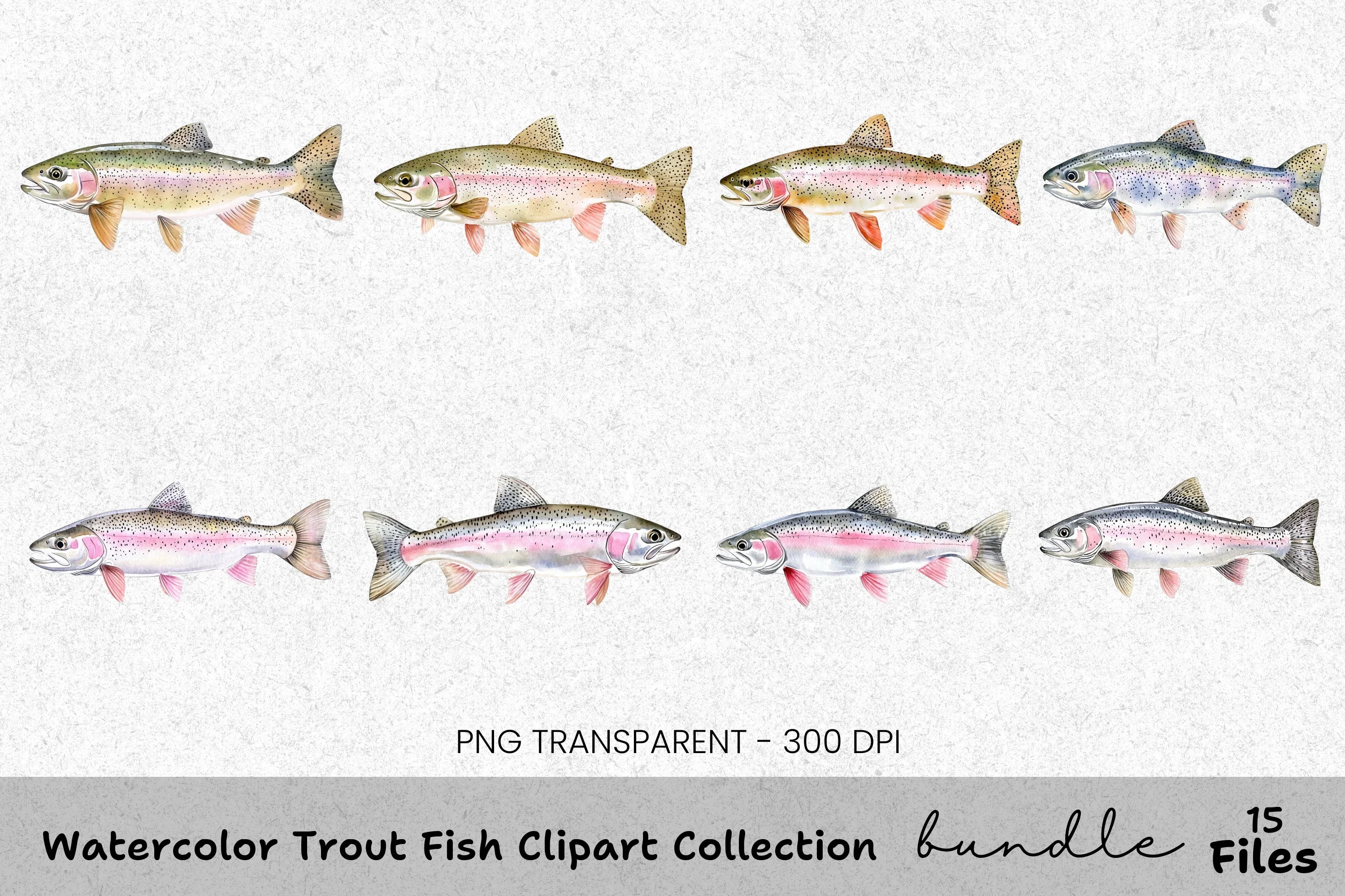 Trout Fish Clipart Bundle
