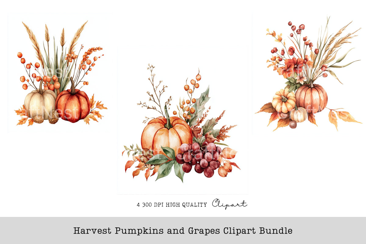 Harvest Pumpkins And Grapes Clipart Bundle