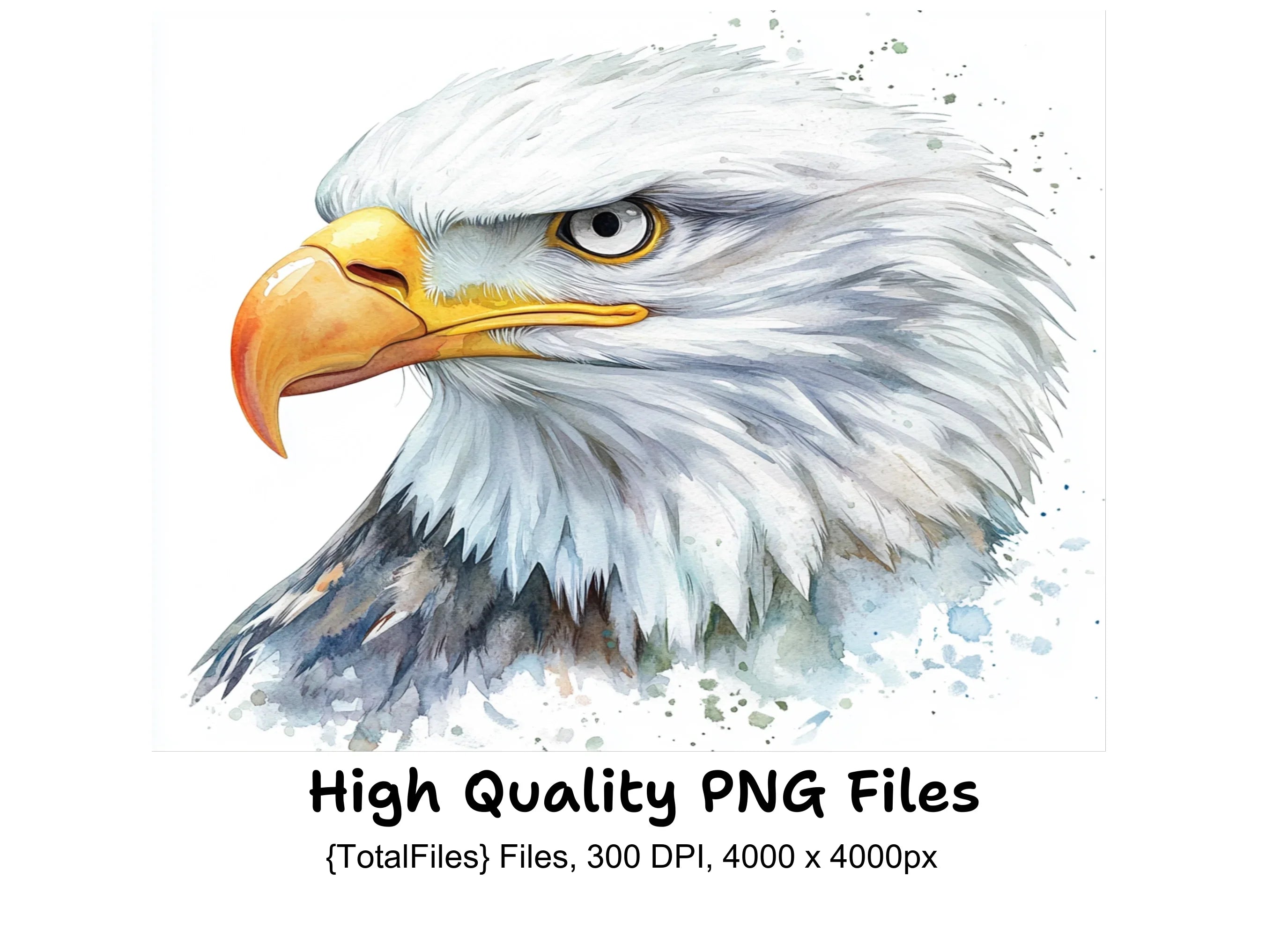 Majestic Eagle Head Clipart Bundle