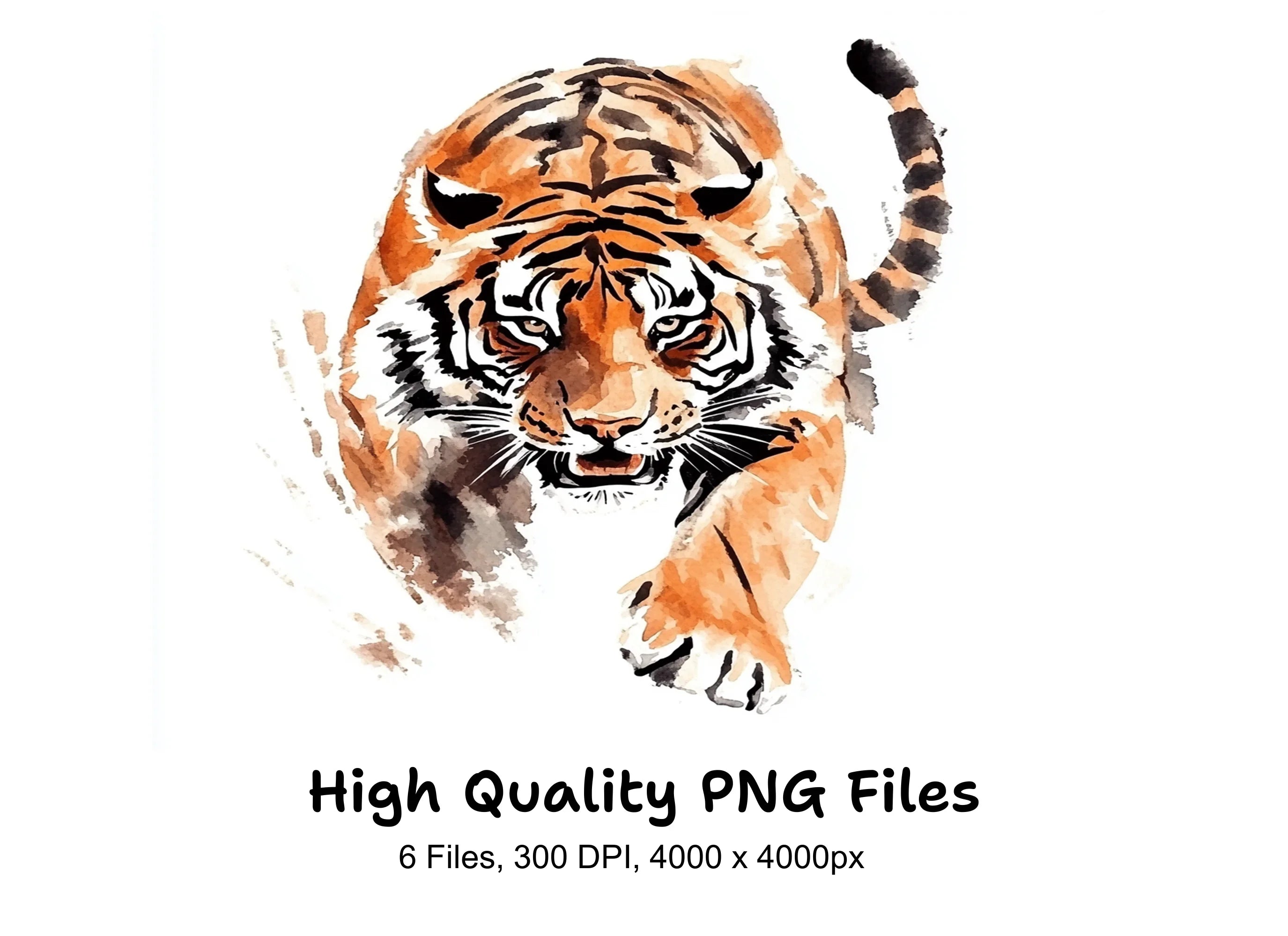 Dynamic Tiger Clipart Bundle