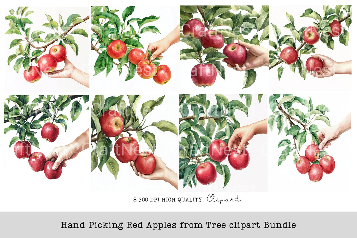 Hand Picking Red Apples From Tree Clipart Bundle