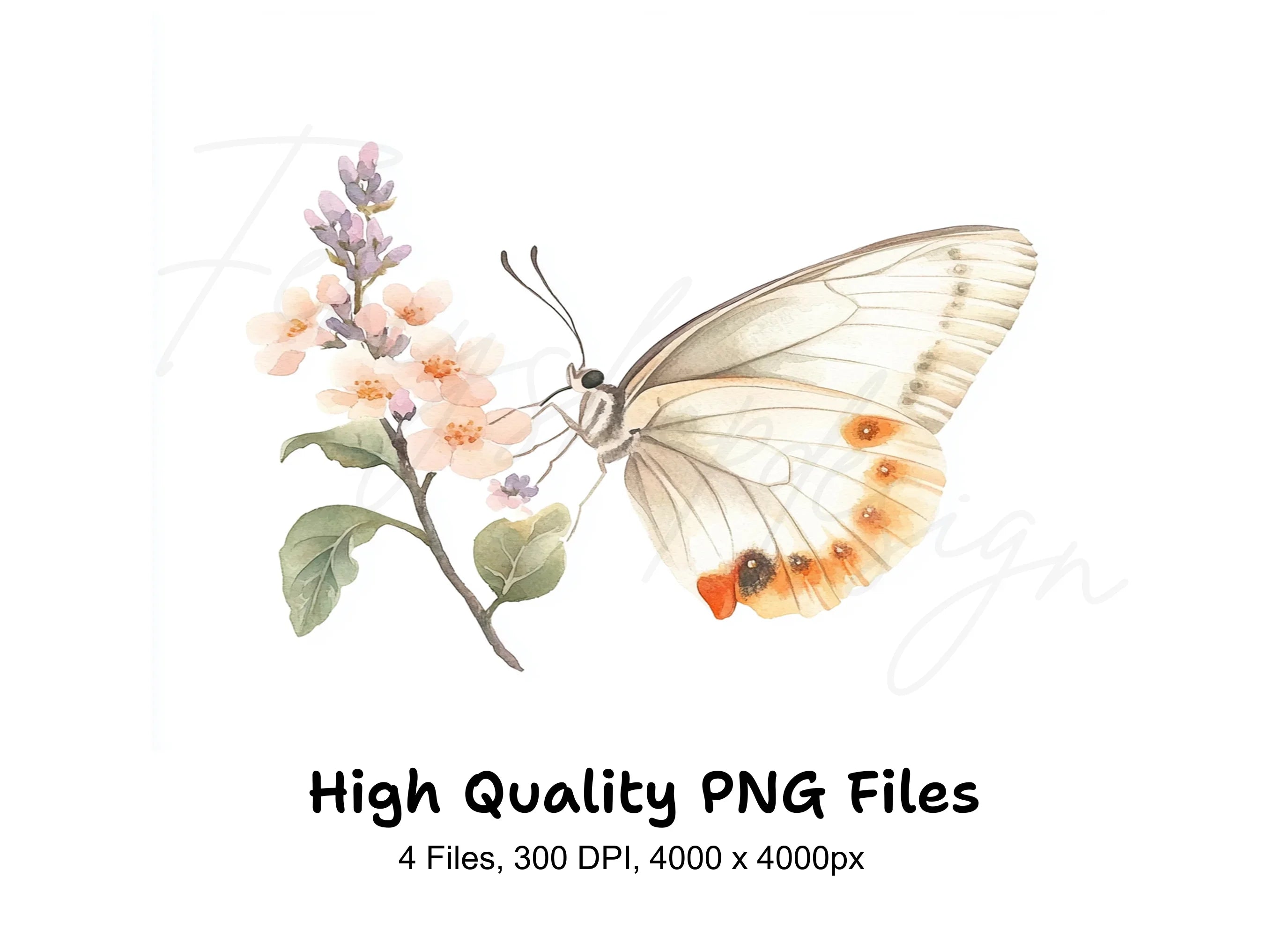 Elegant White Butterfly Blossom Clipart Bundle