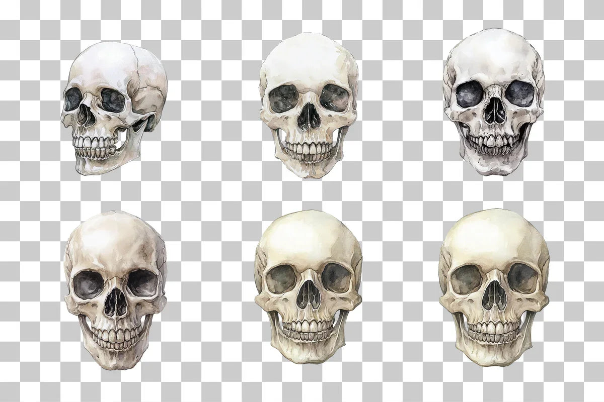 Gothic Skull Ink Illustration Clipart Bundle - CraftNest - Digital Crafting and Art