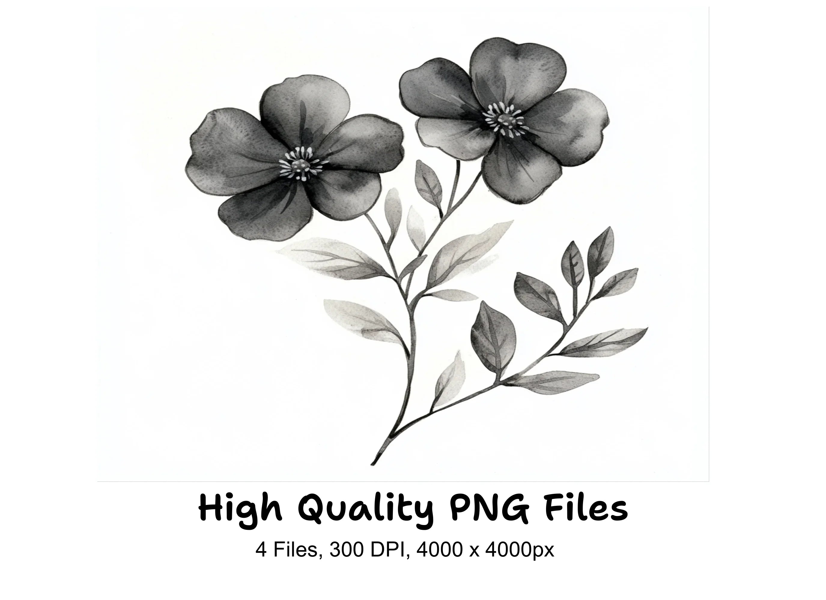 Elegant Black and White Floral Clipart Bundle