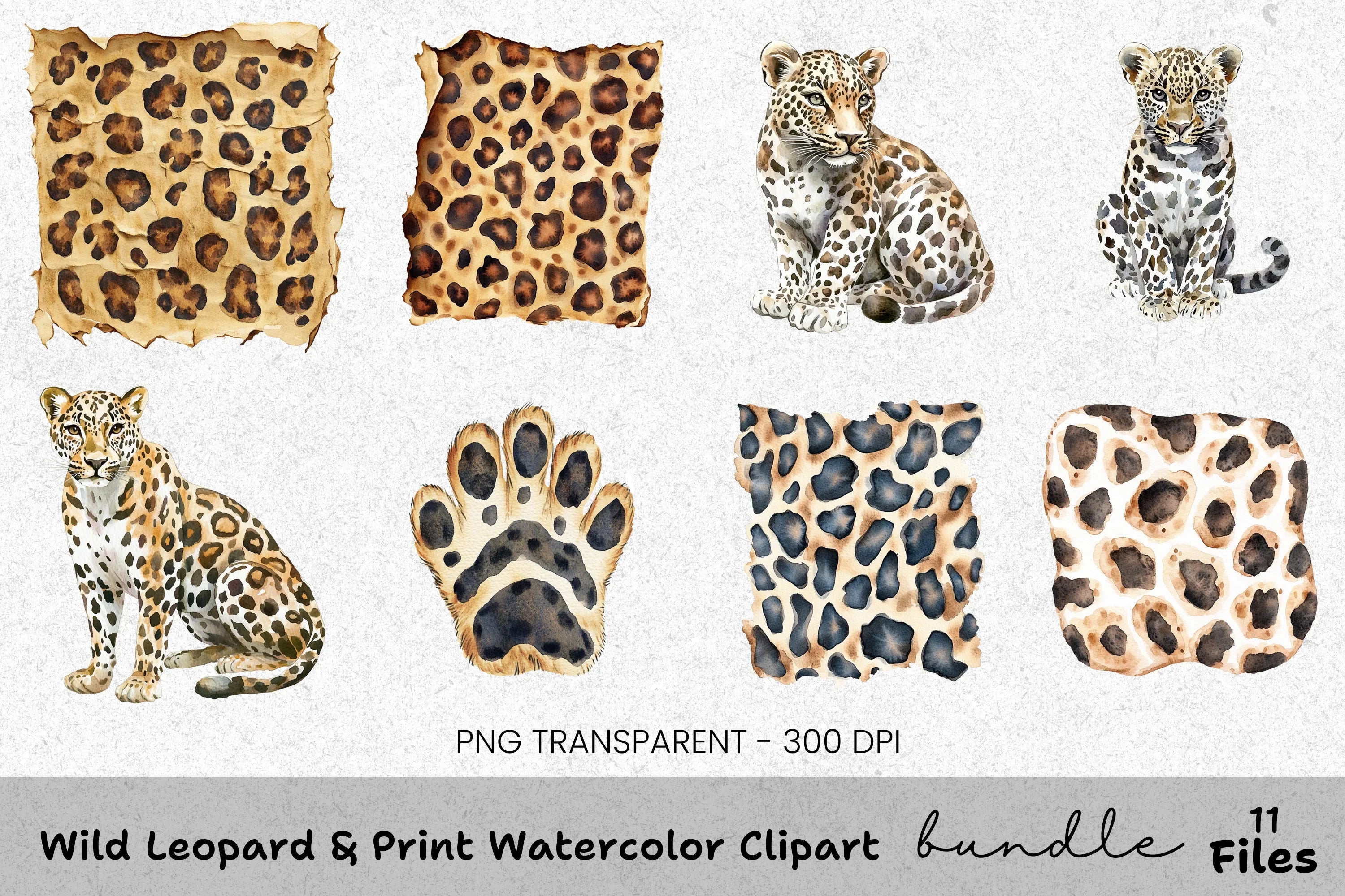 Wild Leopard Clipart Bundle