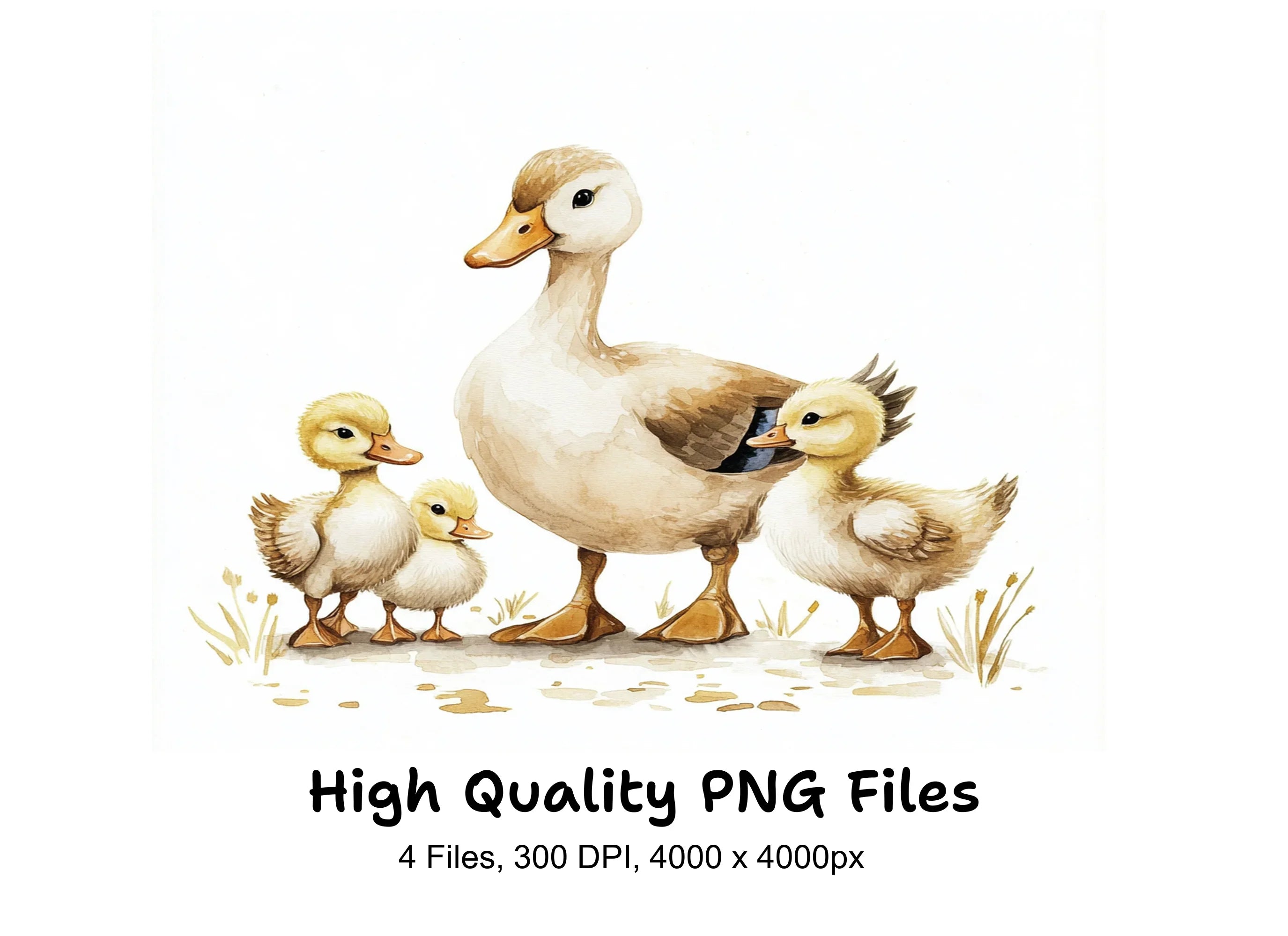 Cute Duck and Ducklings Clipart Bundle