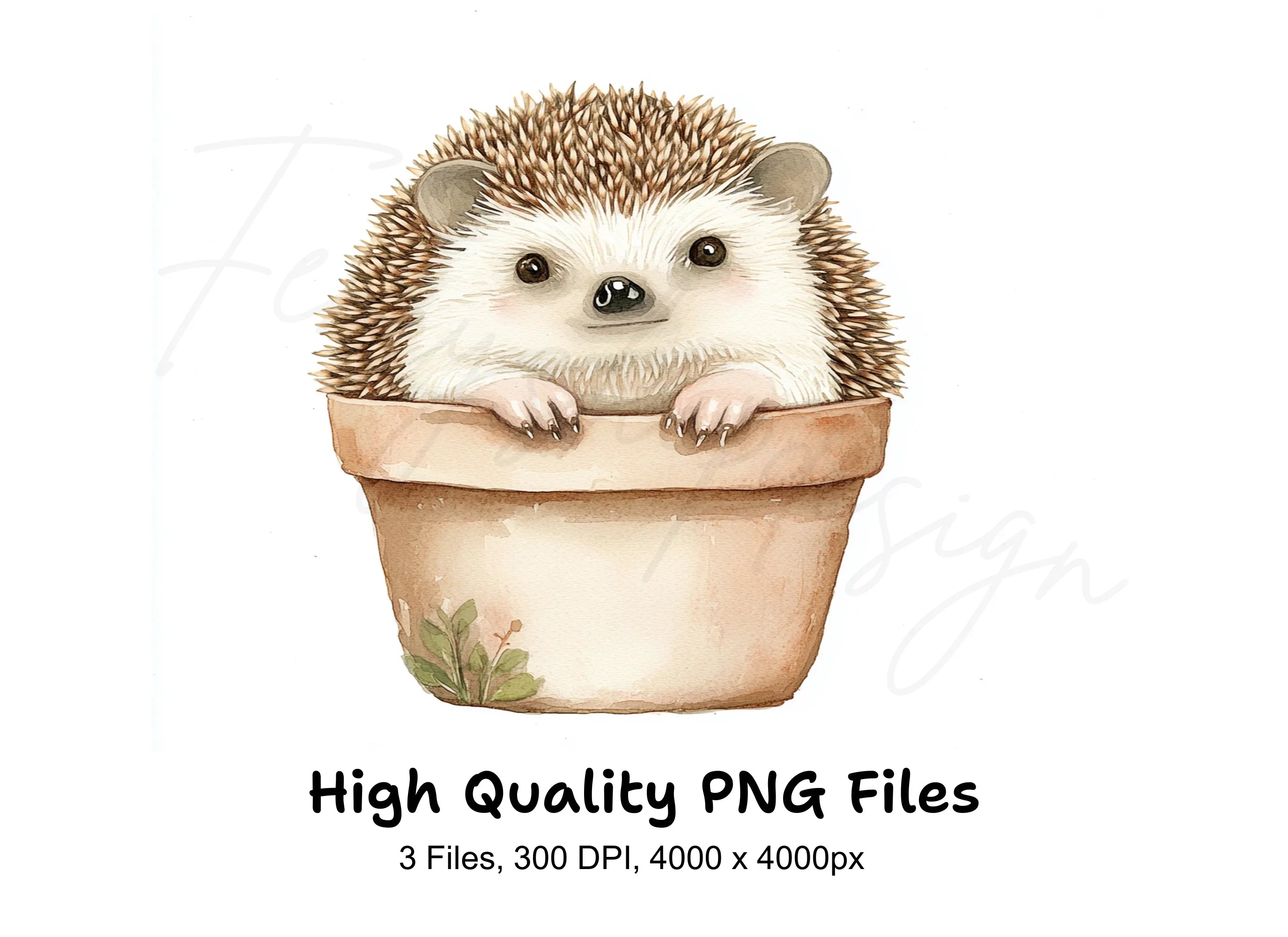 Cute Hedgehog in Pot Clipart Bundle