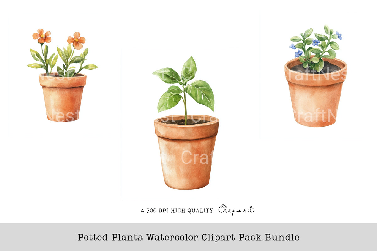 Potted Plants Clipart Bundle