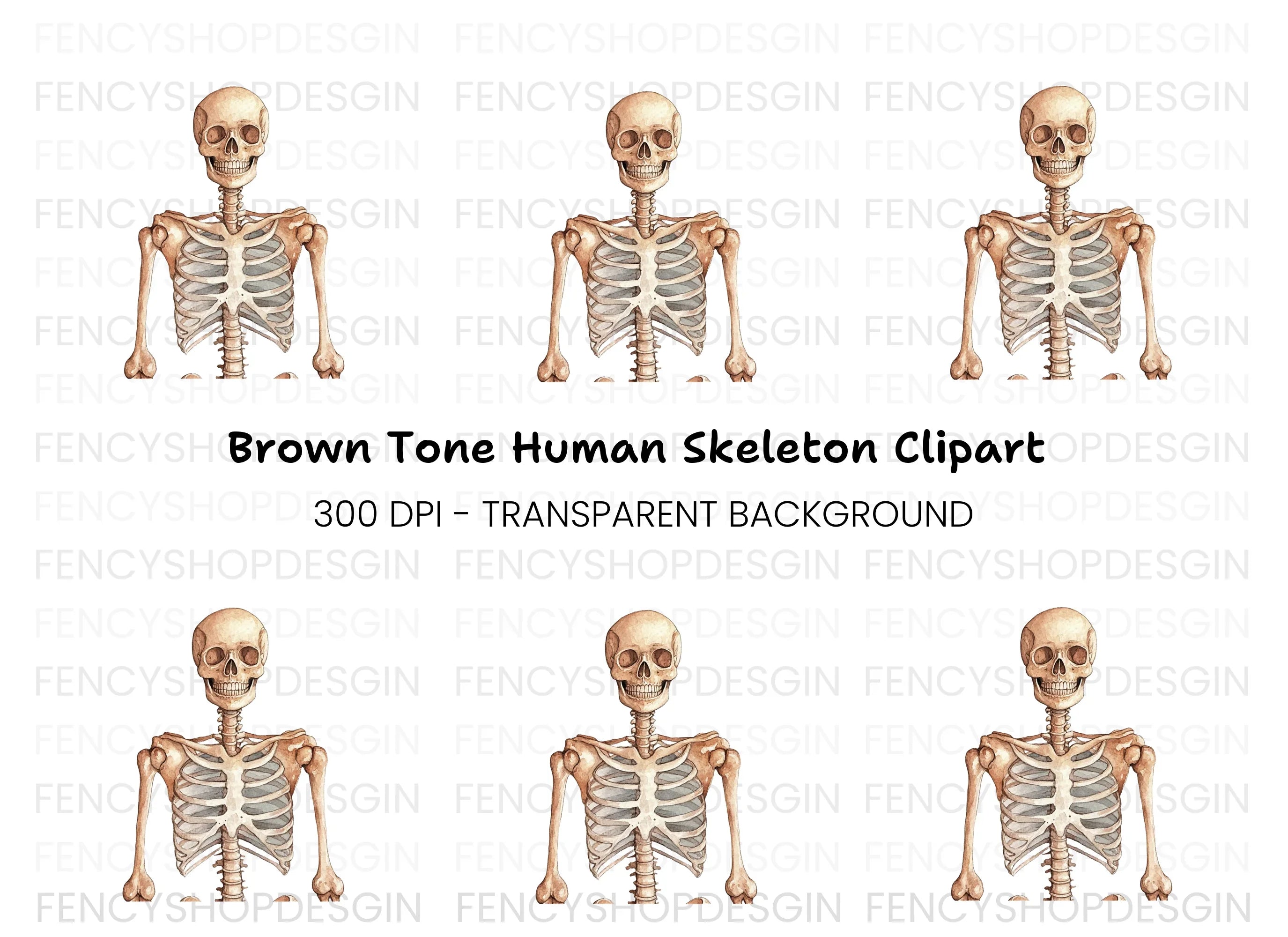 Human Skeleton Anatomy Clipart Bundle
