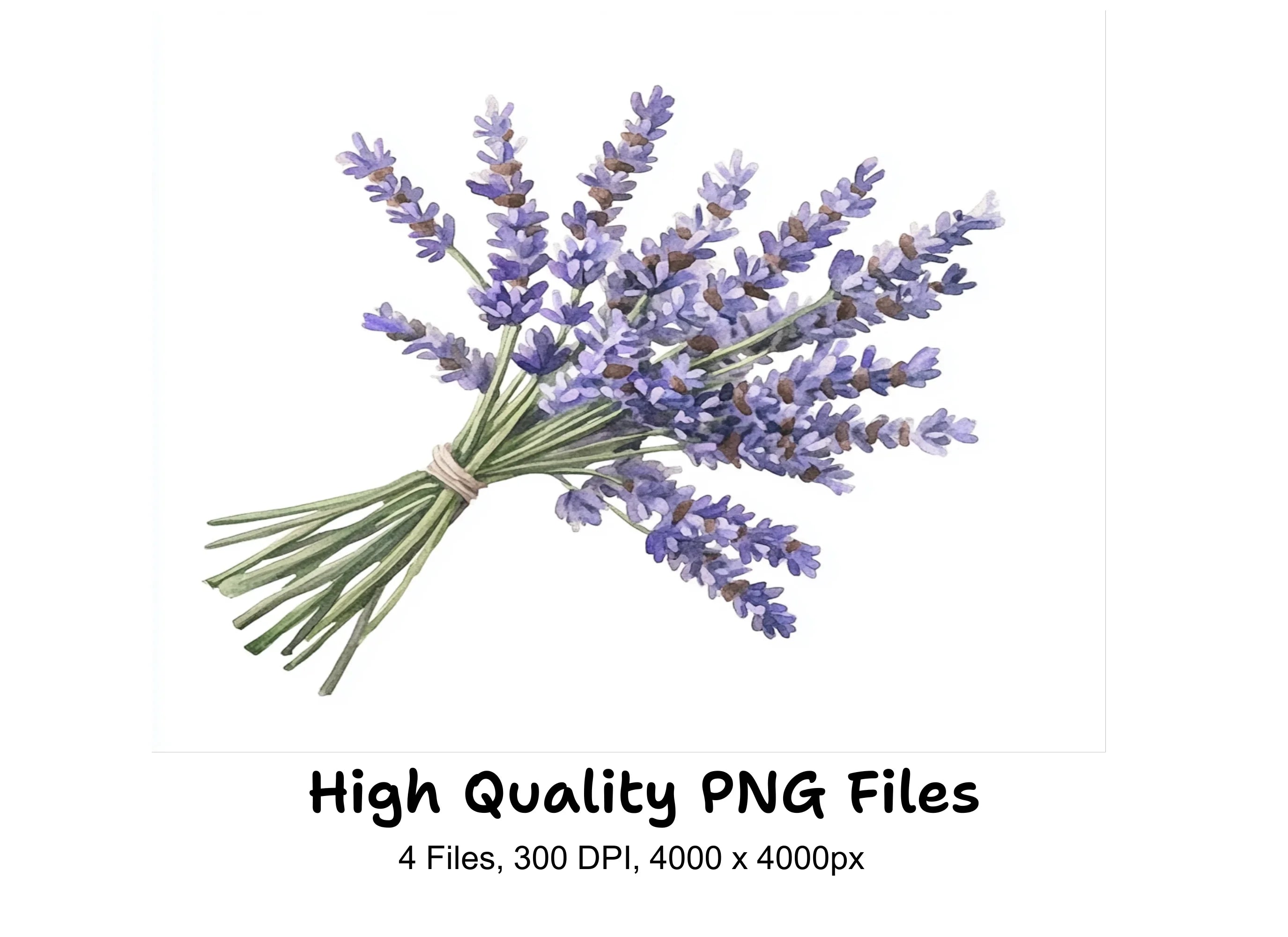 Lavender Bouquets Clipart Bundle