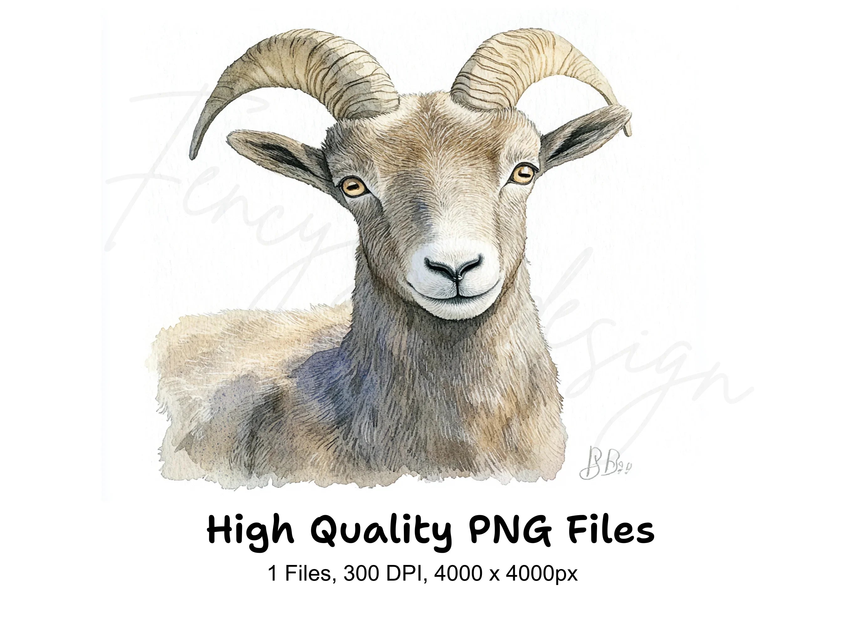 Bighorn Sheep Portrait Clipart Bundle