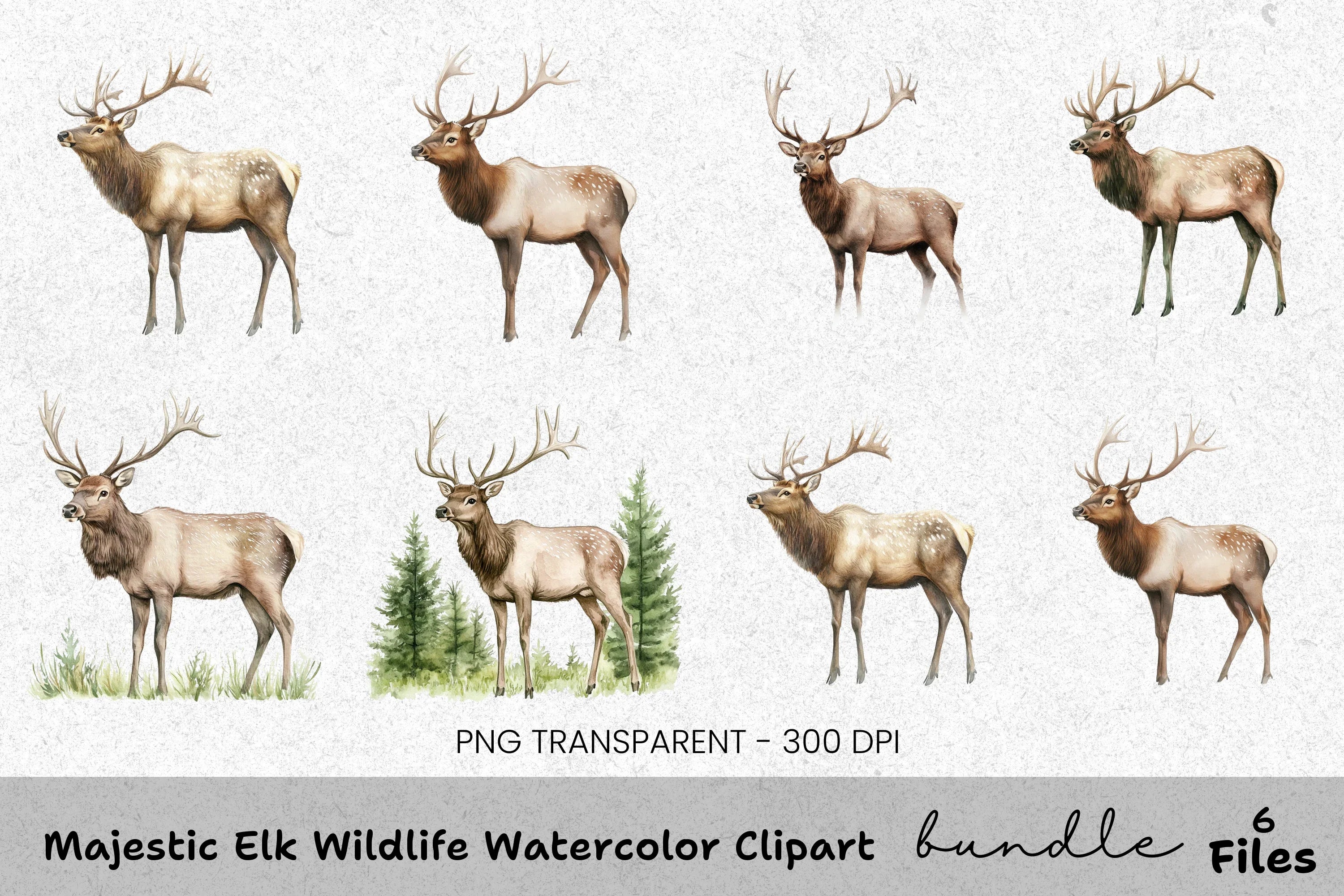 Majestic Elk Wildlife Clipart Bundle