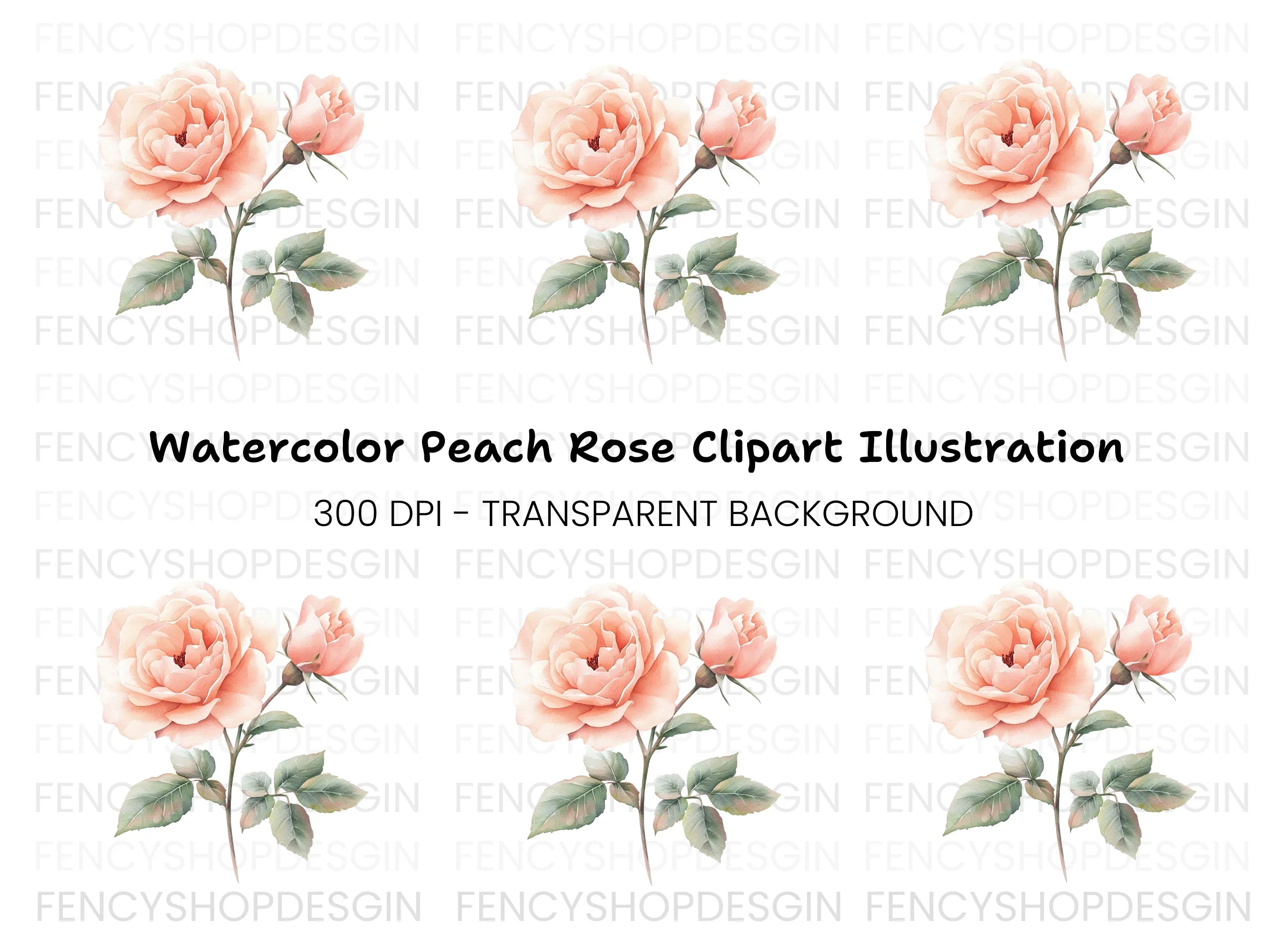 Elegant Peach Rose Illustration Clipart Bundle