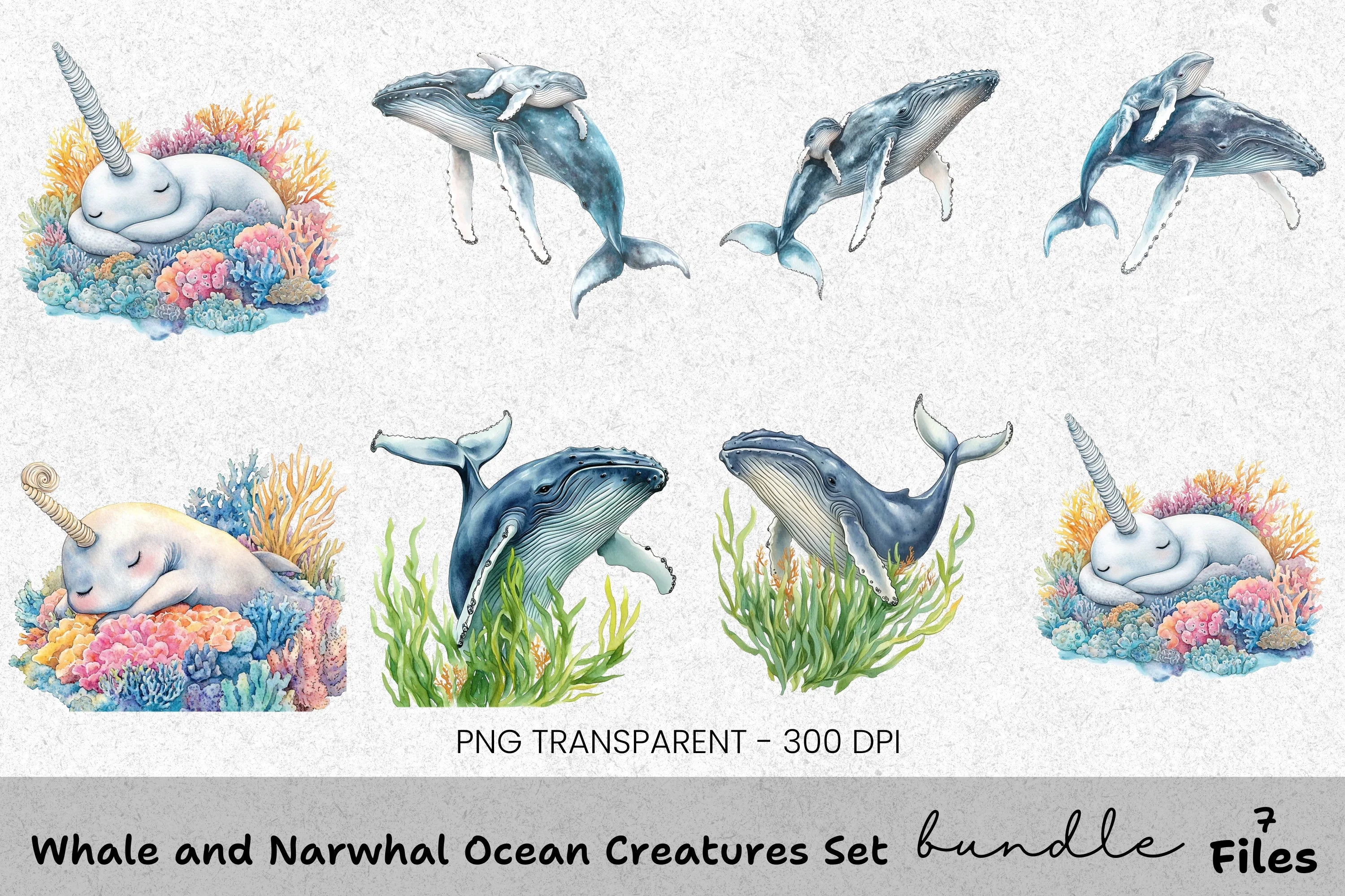 Whale and Narwhal Ocean Creatures Clipart Bundle
