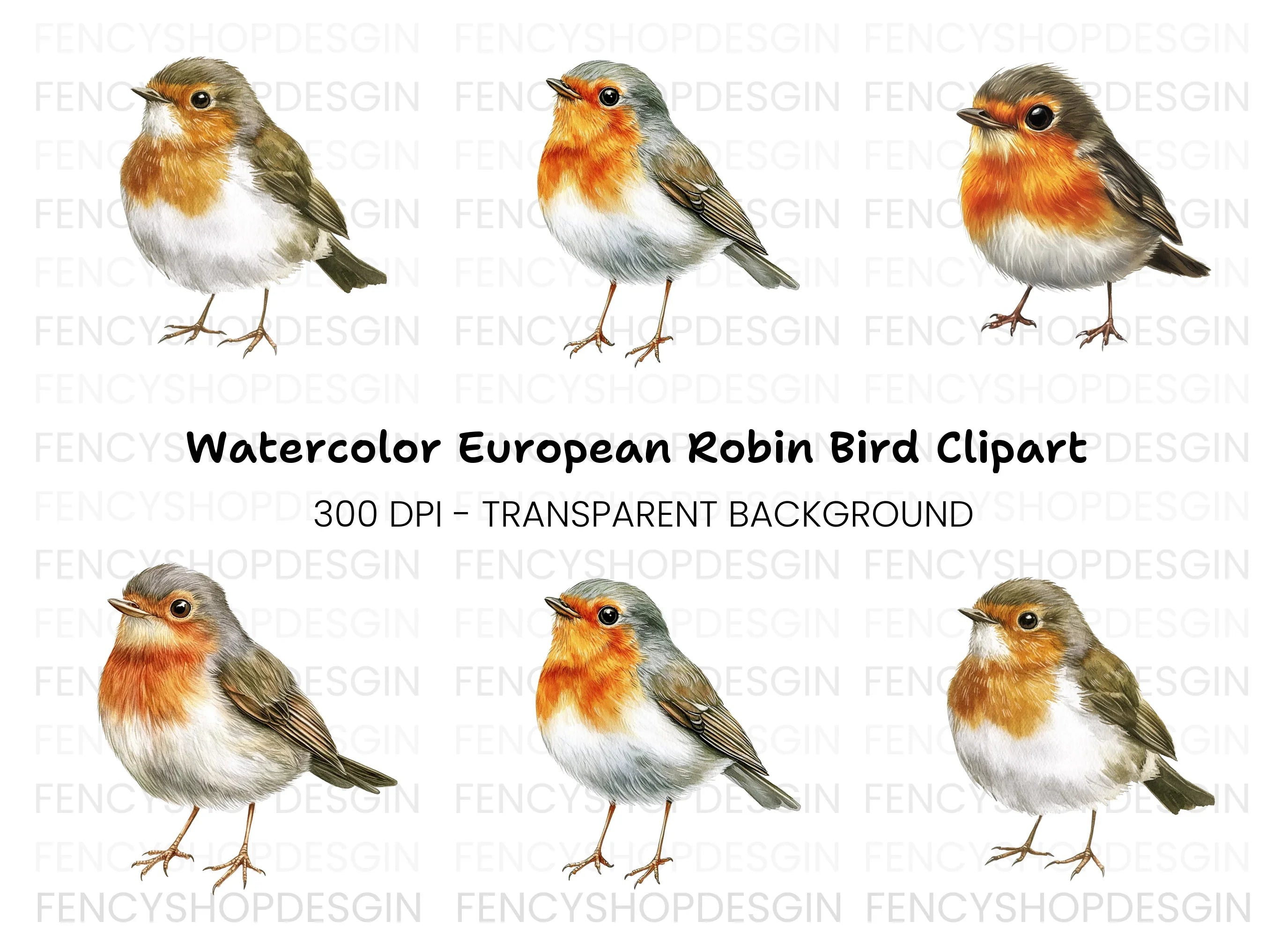 Cute Robin Bird Clipart Bundle