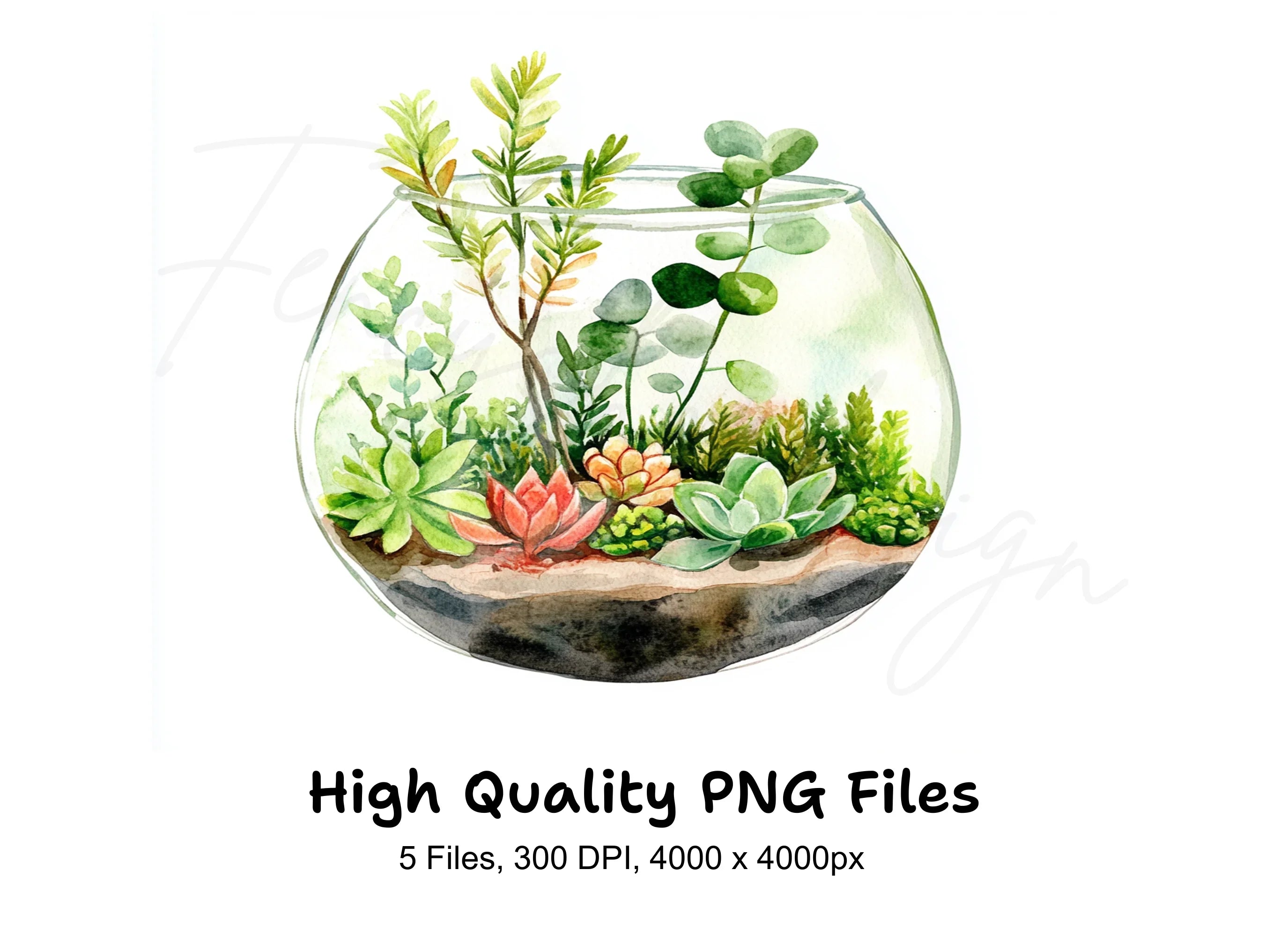Charming Terrarium Clipart Bundle