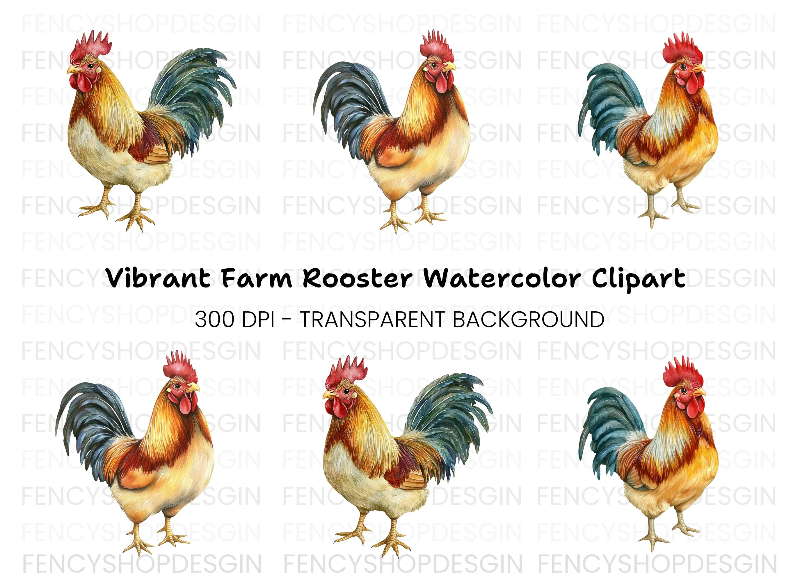Realistic Rooster Clipart Bundle