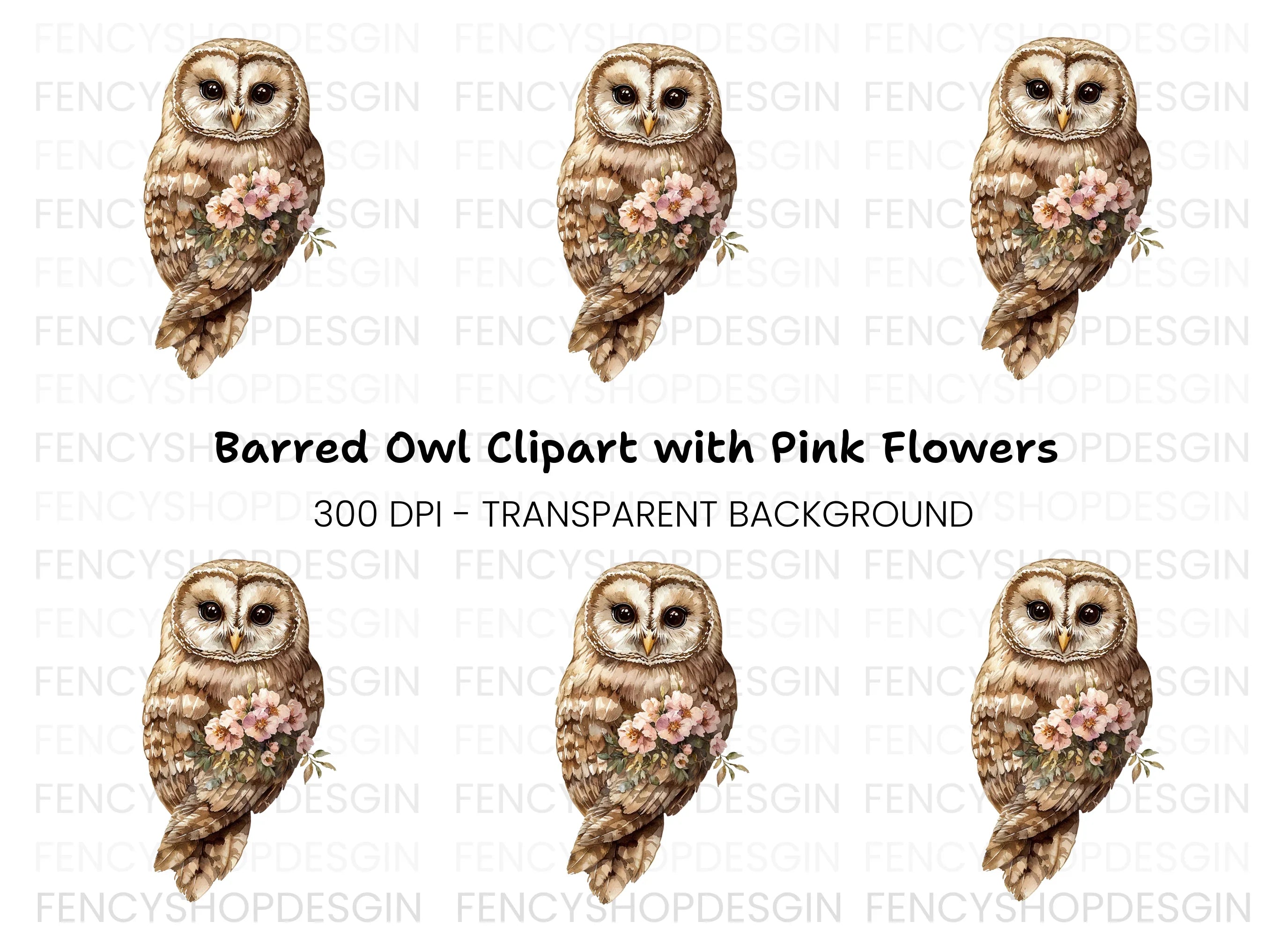 Elegant Barn Owl with Flowers Clipart Bundle