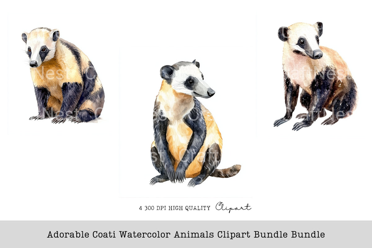 Adorable Coati Animals Clipart Bundle