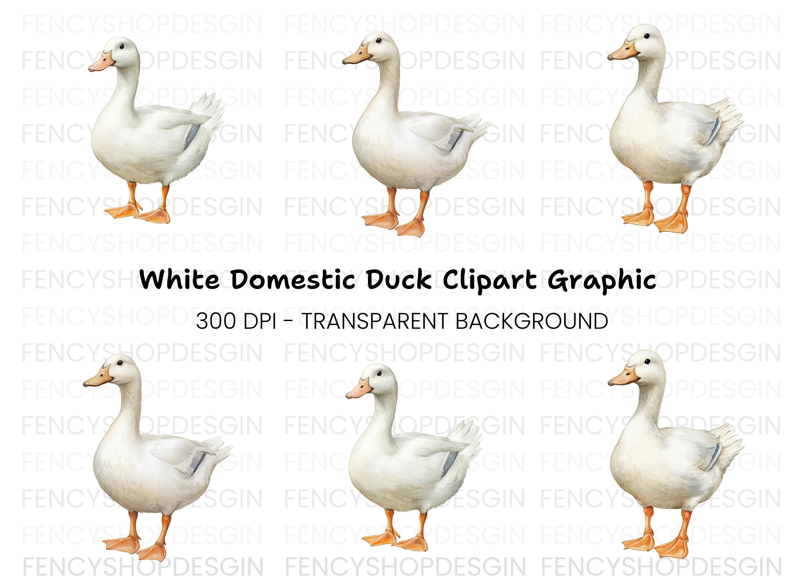White Duck Clipart Bundle
