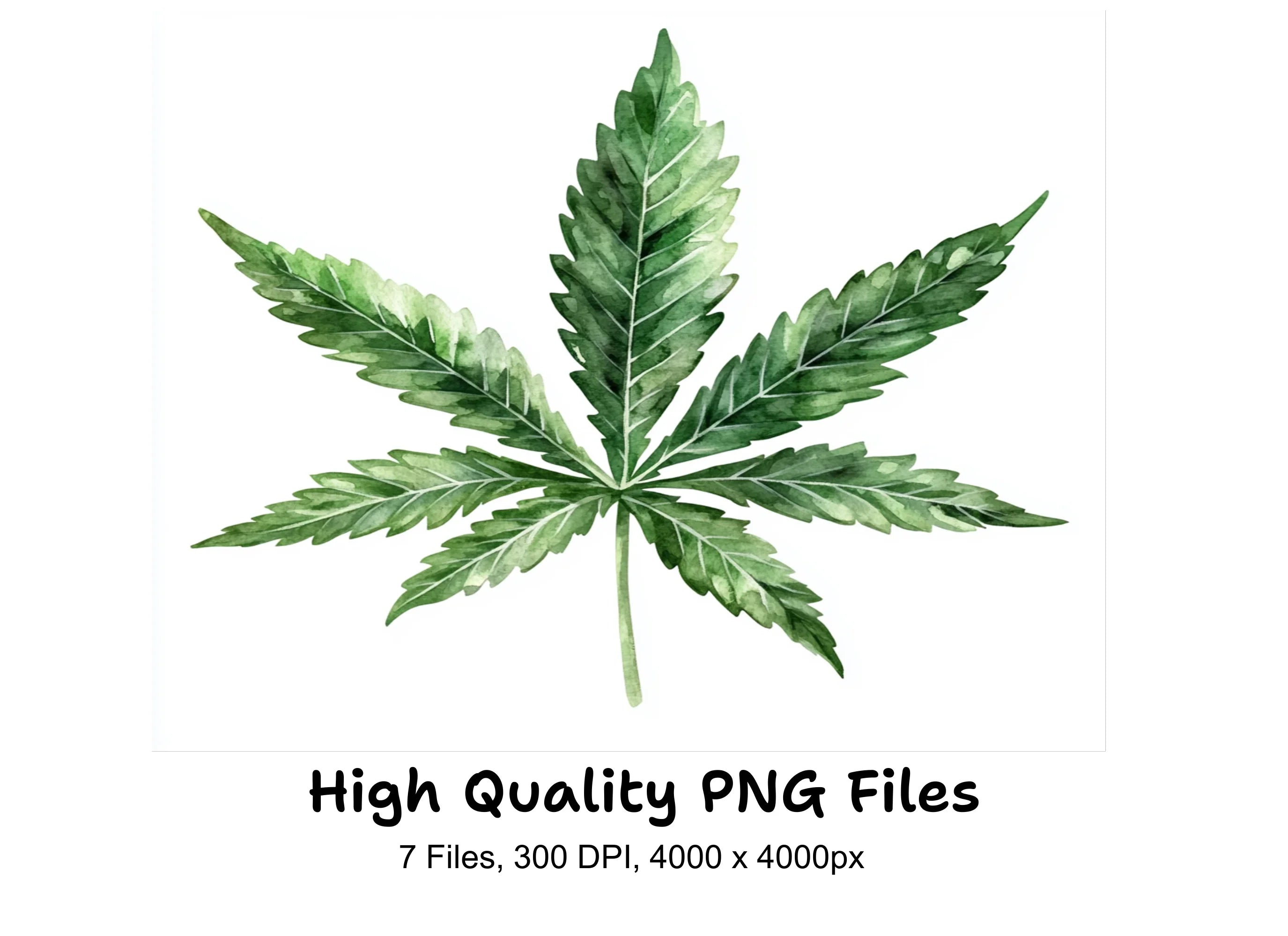 Cannabis Leaves Clipart Bundle