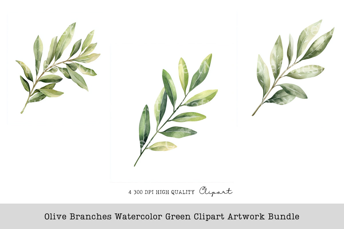 Olive Branches Green Artwork Clipart Bundle