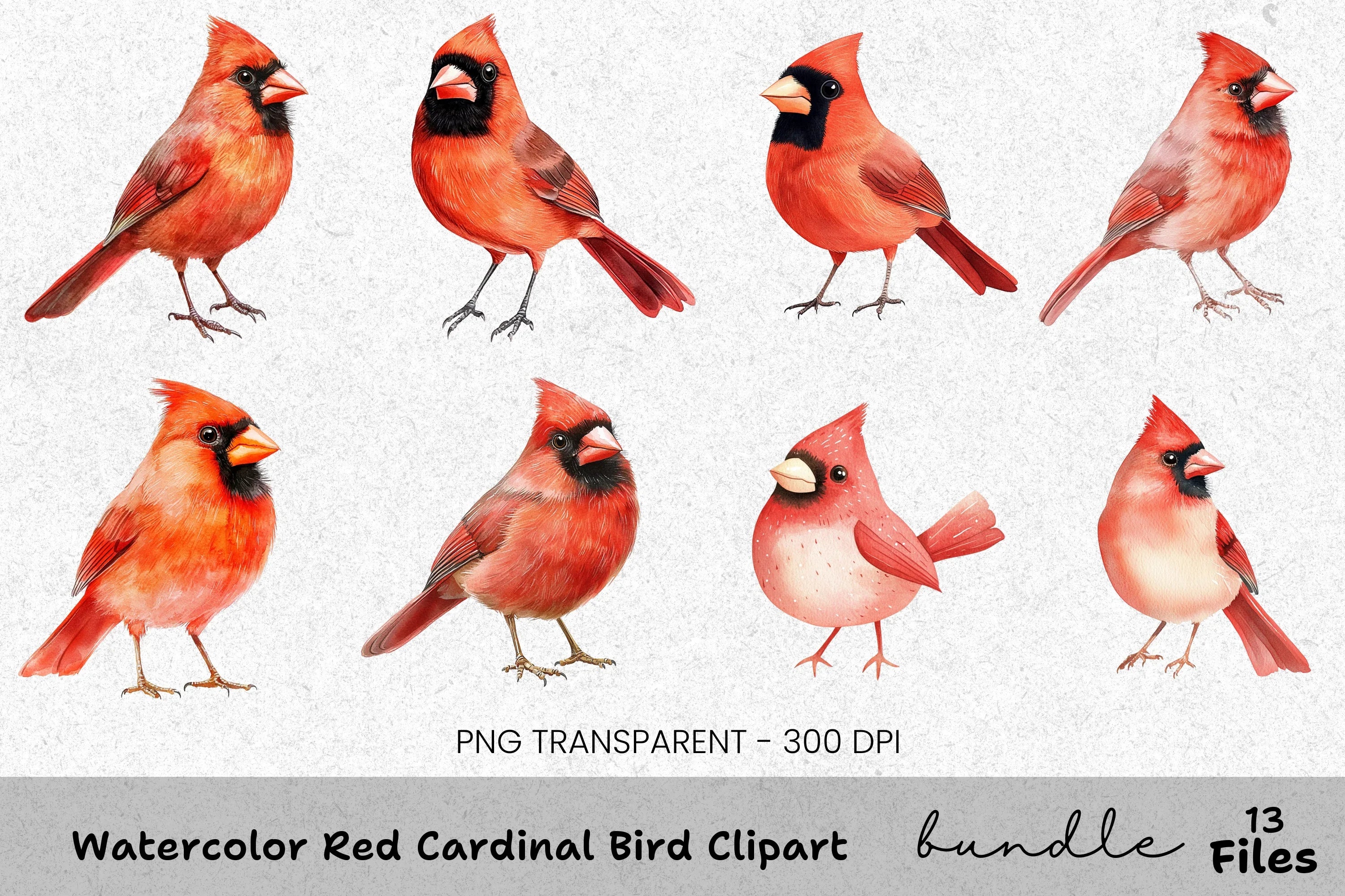 Red Cardinal Bird Clipart Bundle