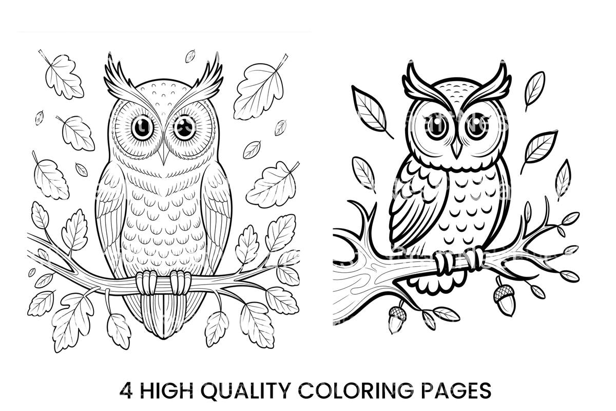 Cute Owl on Branch Coloring Books