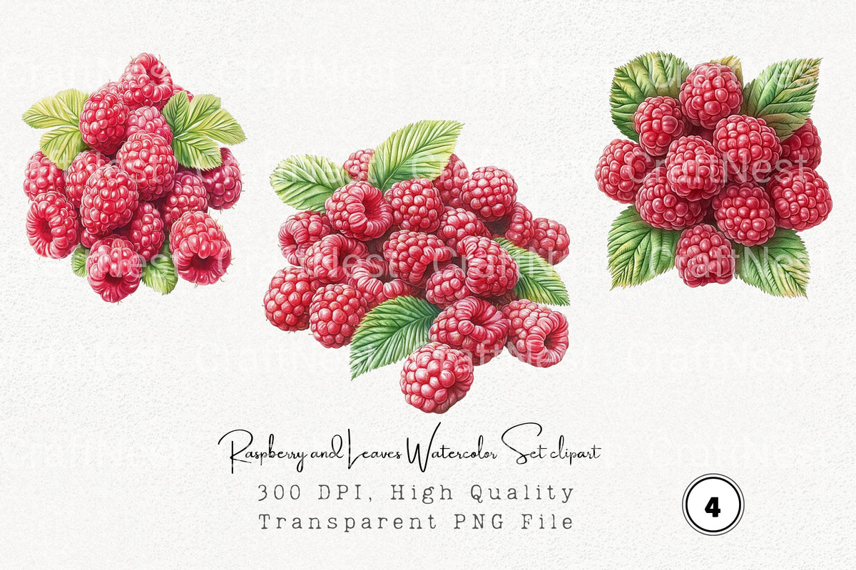 Raspberry And Leaves Clipart Bundle