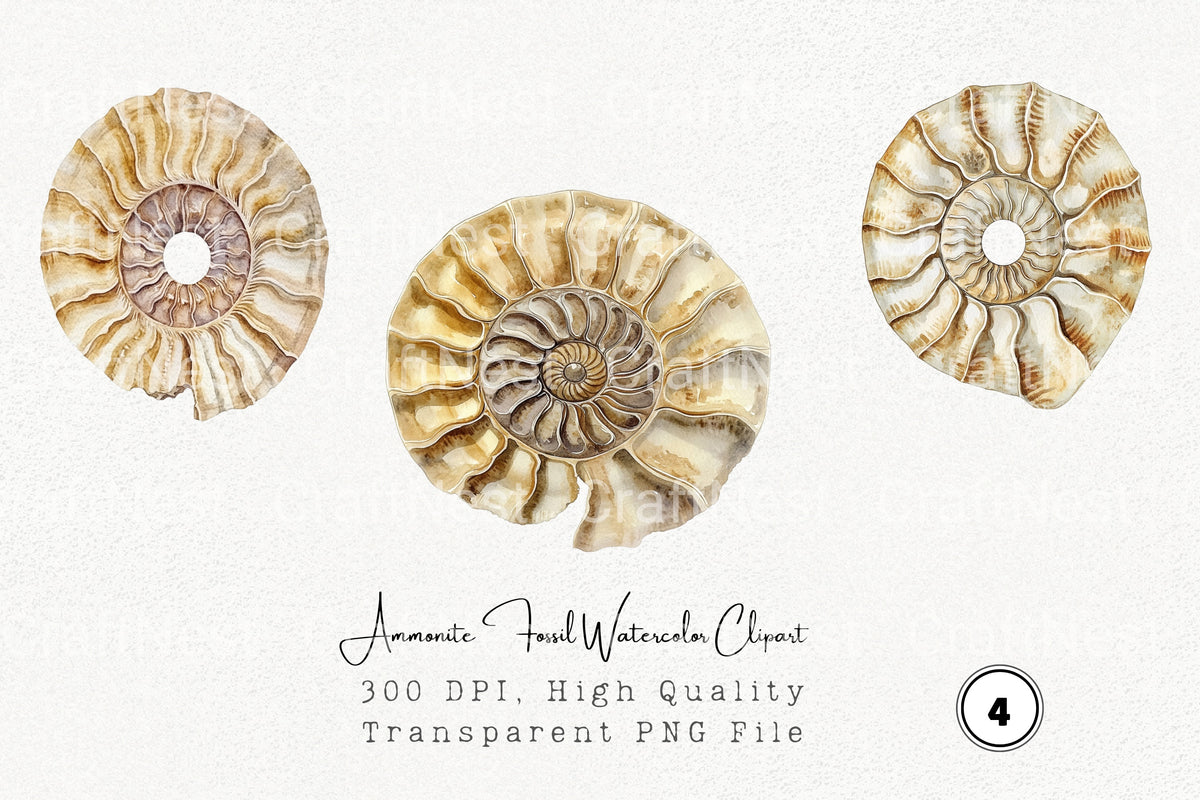 Ammonite Fossil Clipart Bundle