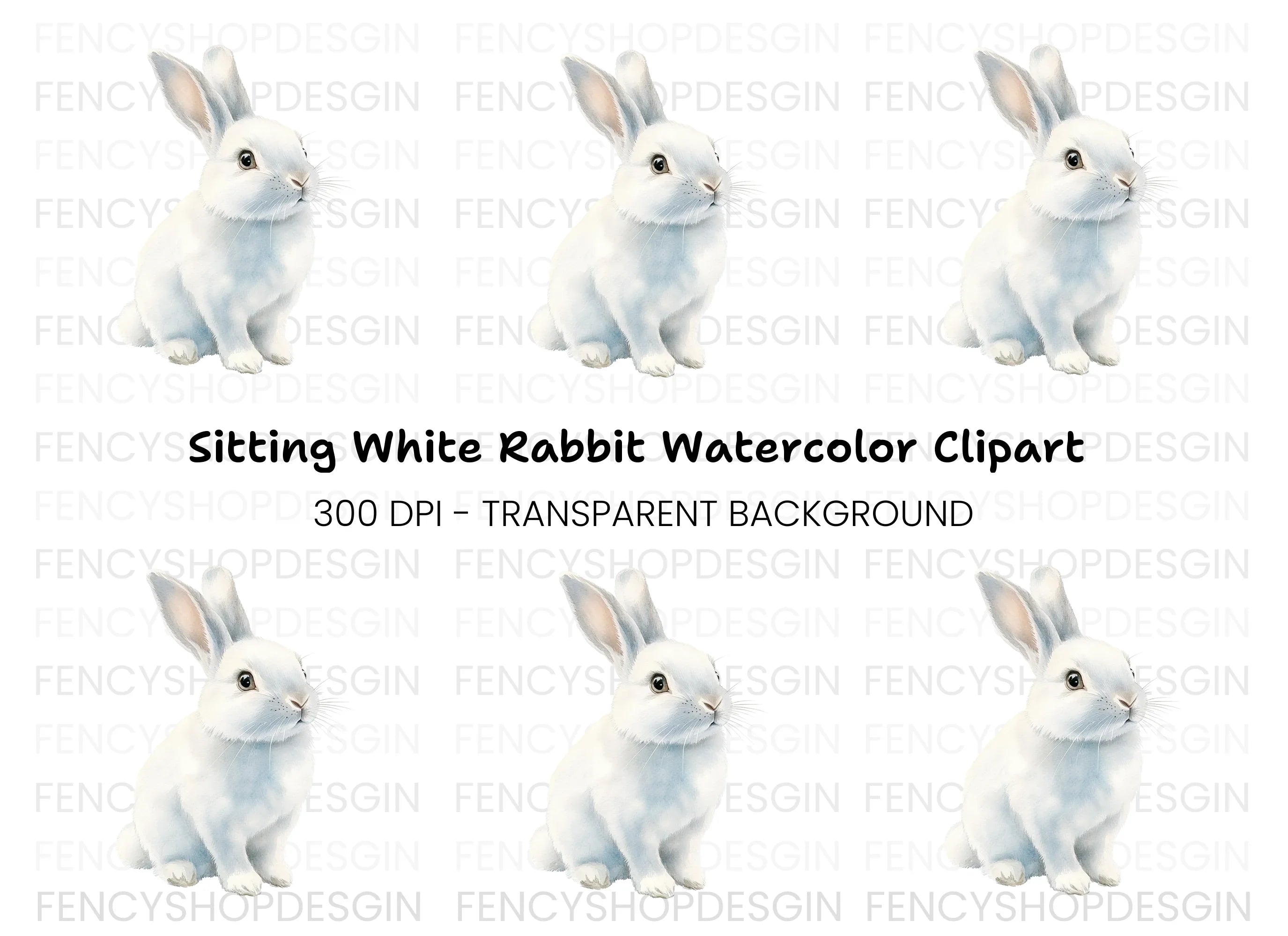Realistic White Rabbit Clipart Bundle