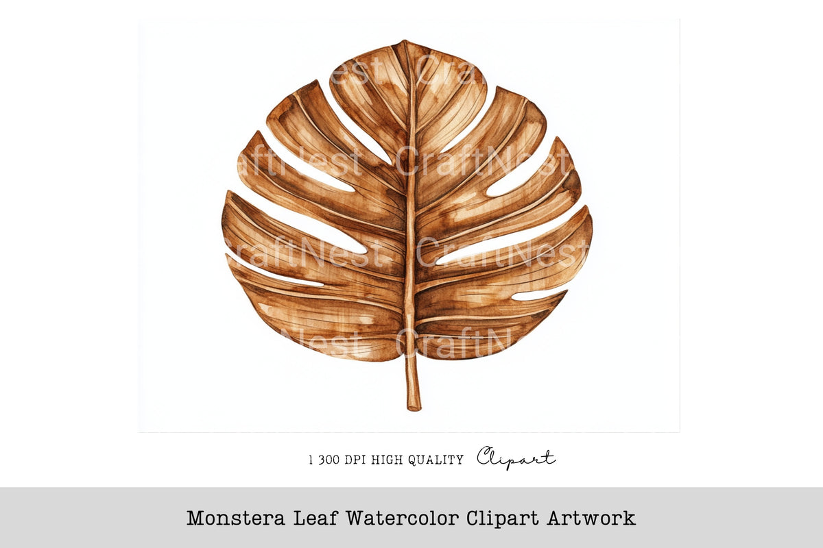 Monstera Leaf Artwork Clipart Bundle