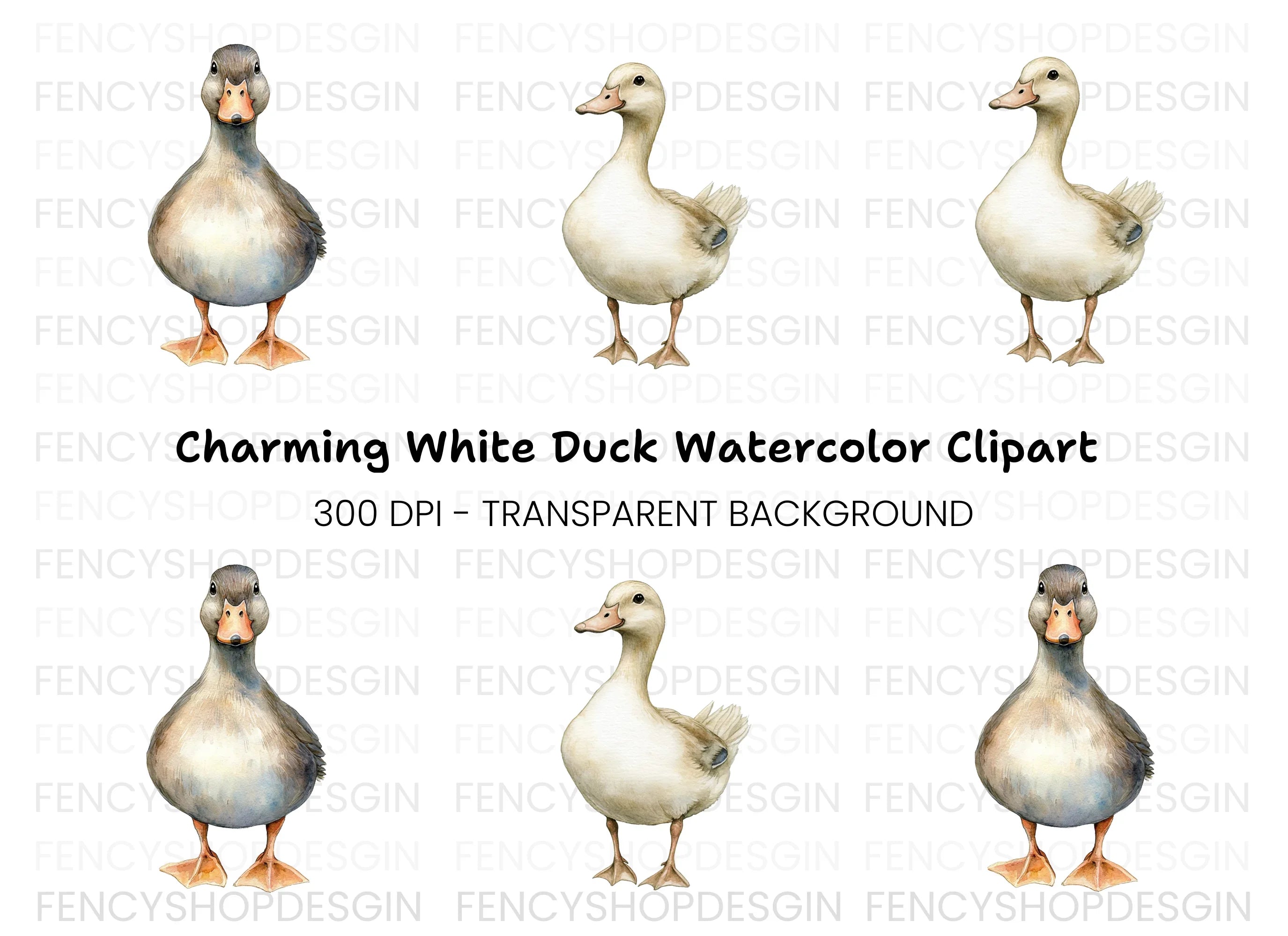 Cute Duck Clipart Bundle