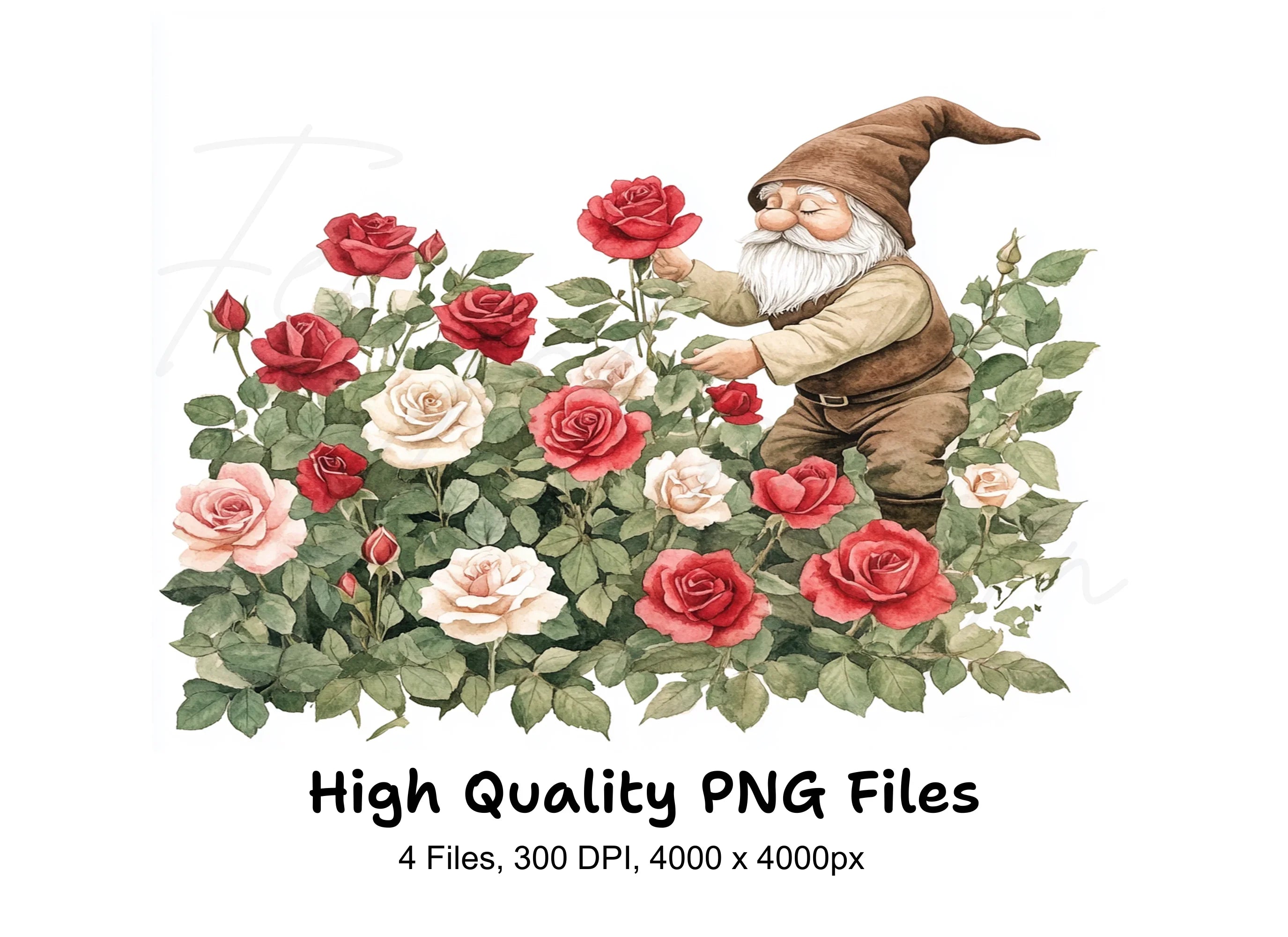 Garden Gnomes with Red and White Roses Clipart Bundle