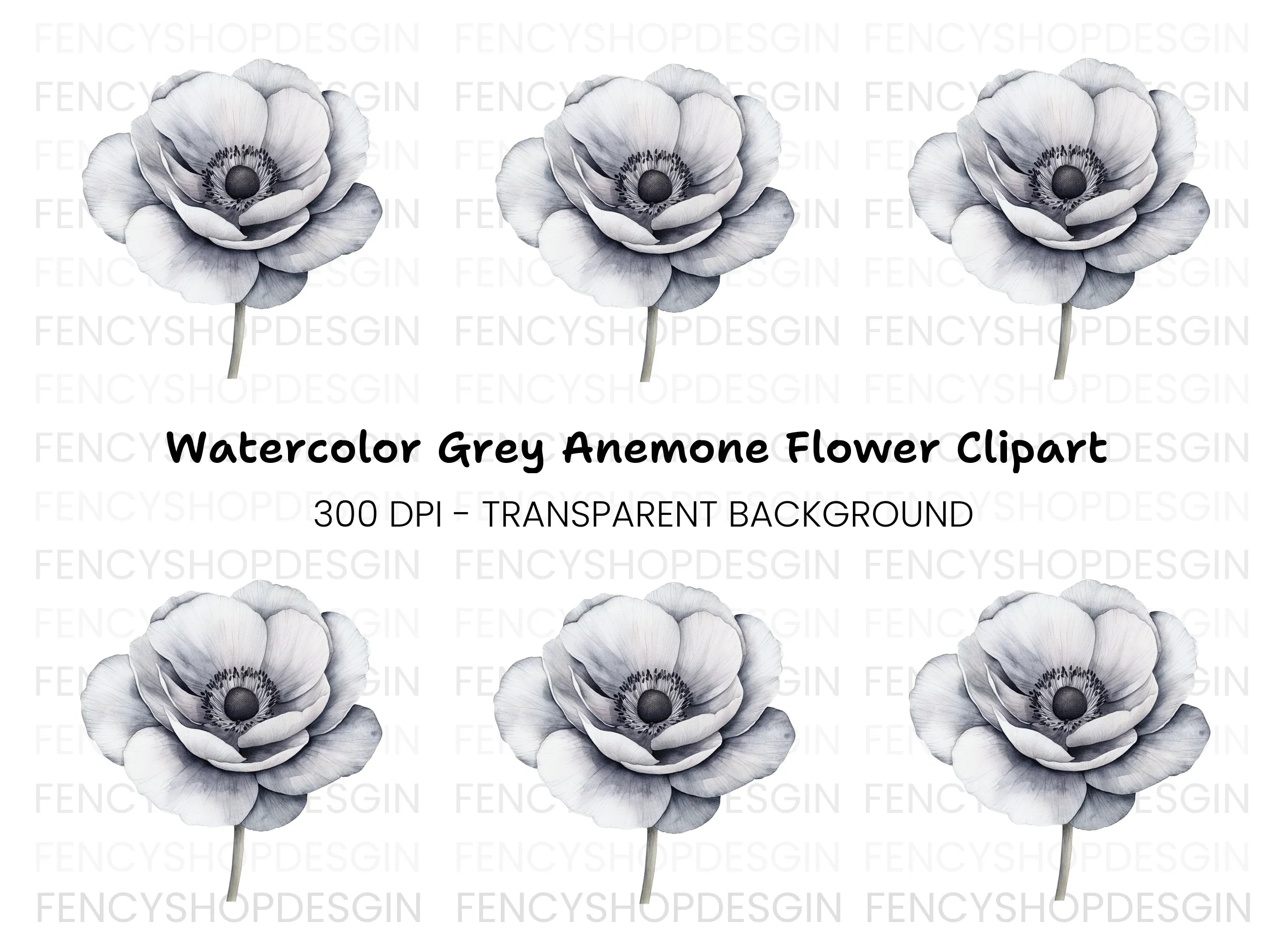 Anemone Clipart Bundle