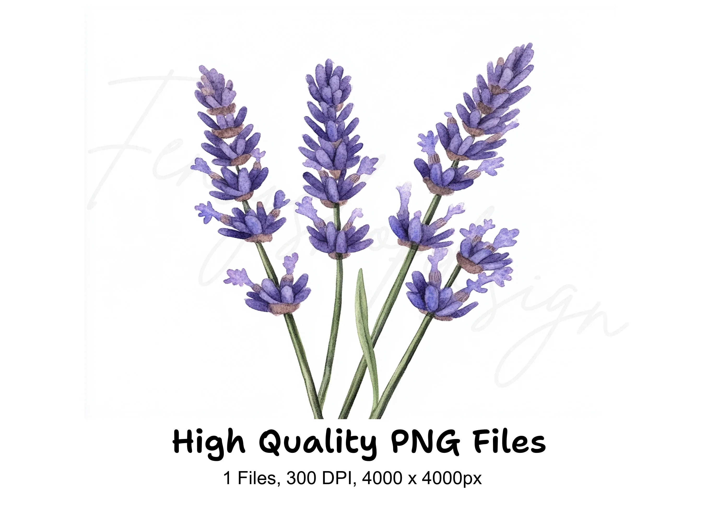 Beautiful Lavender Sprigs Clipart Bundle