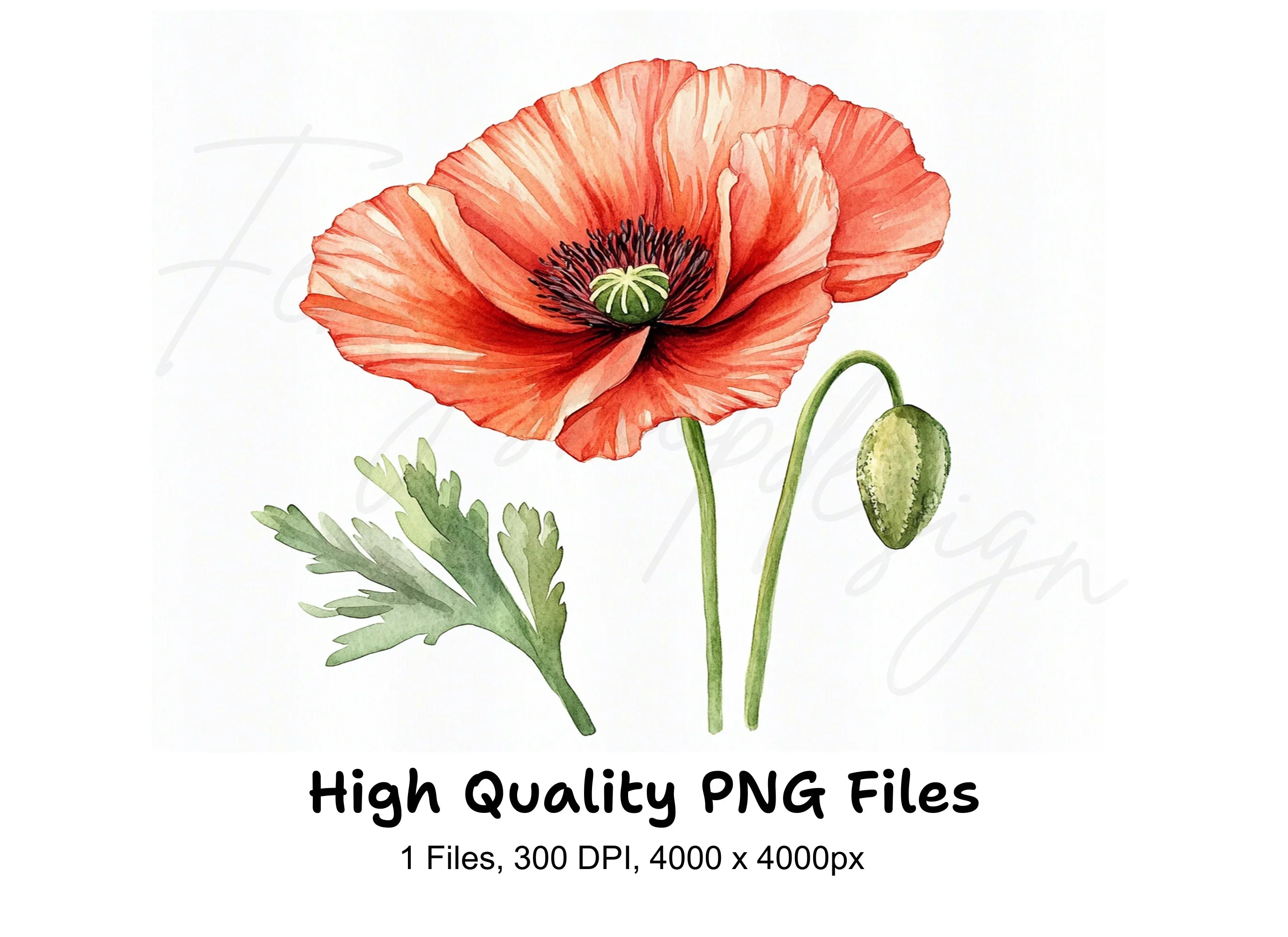 Vibrant Red Poppy Clipart Bundle