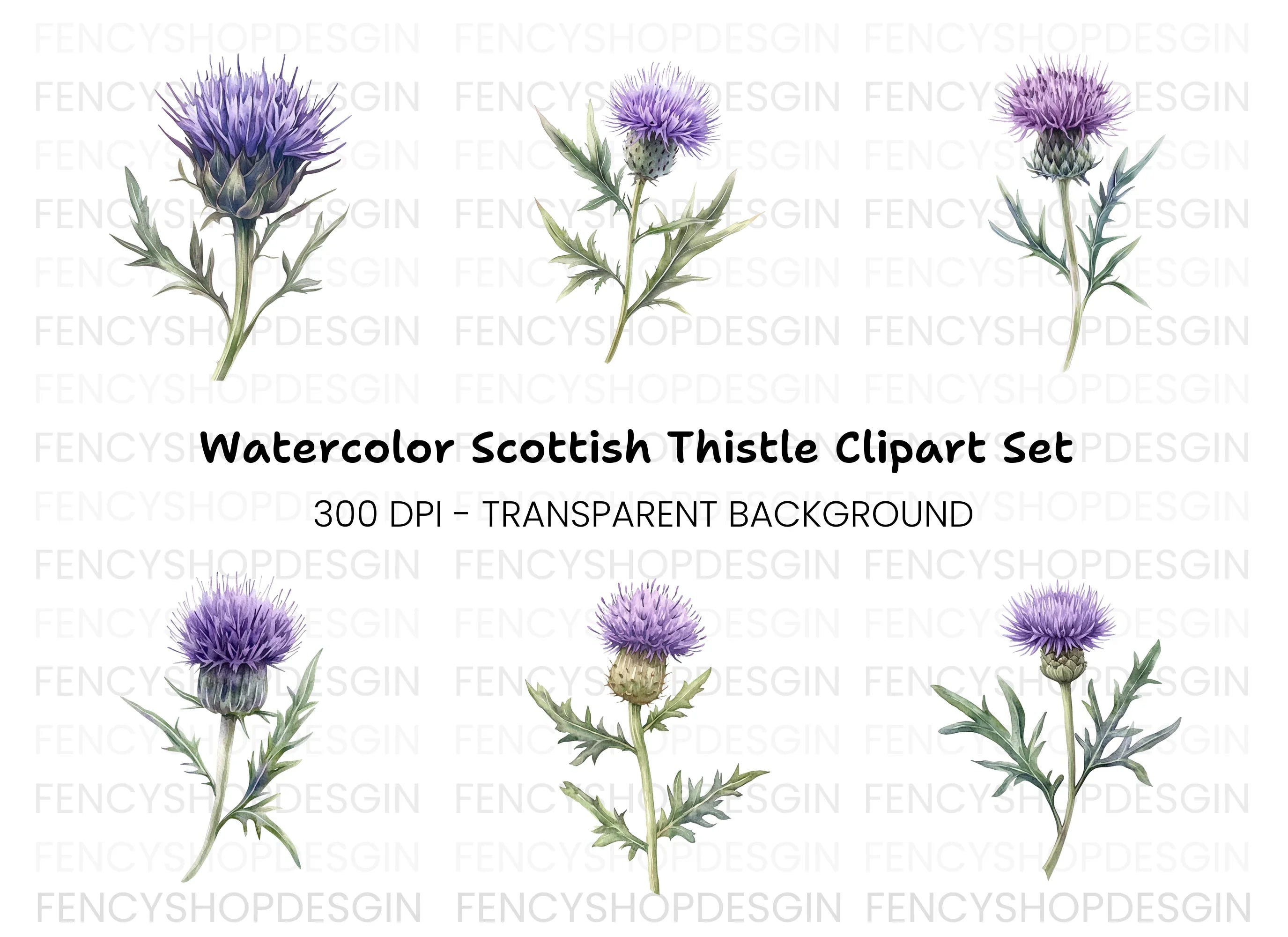 Scottish Thistle Flower Clipart Bundle