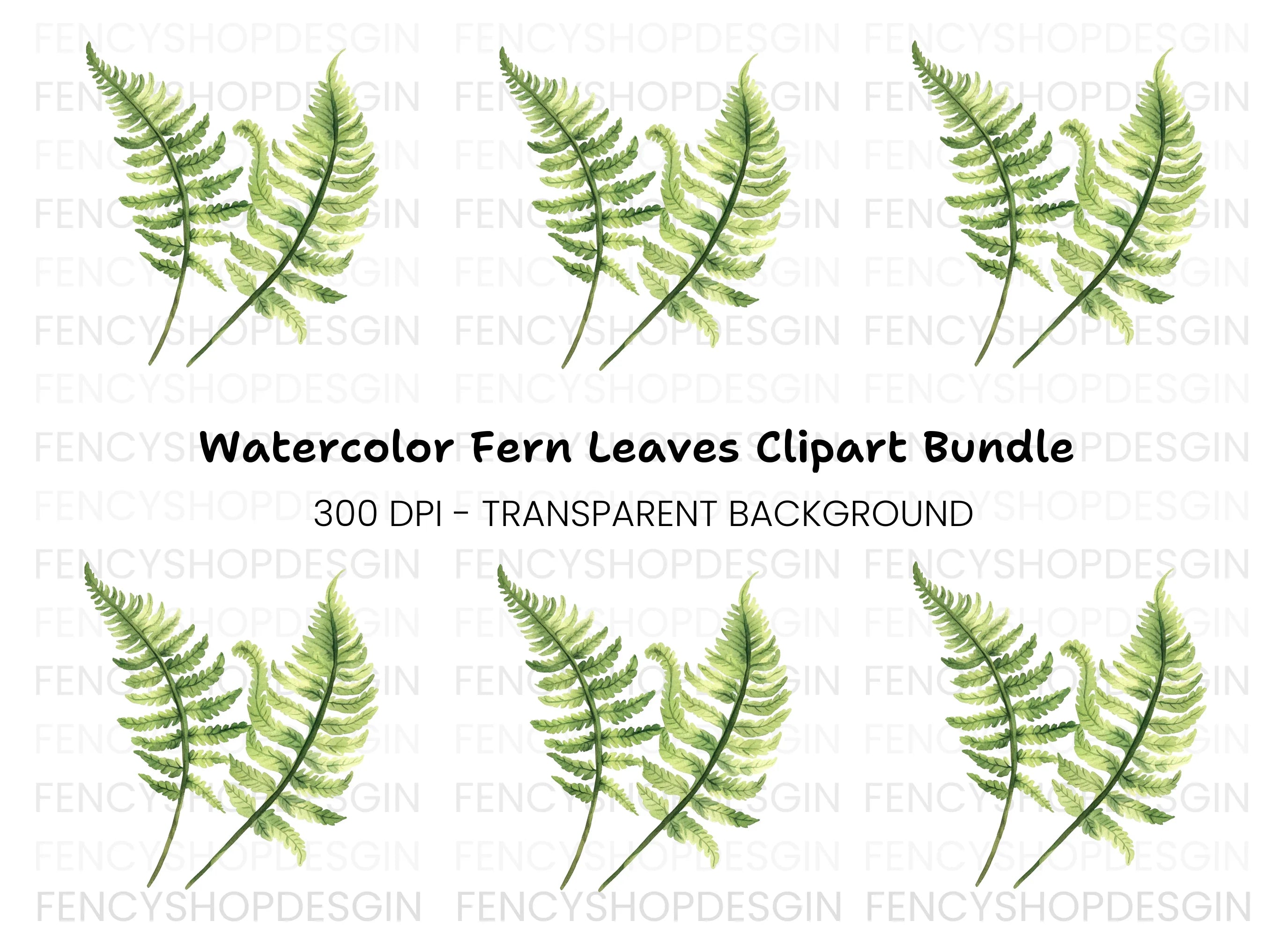 Fern Leaves Clipart Bundle