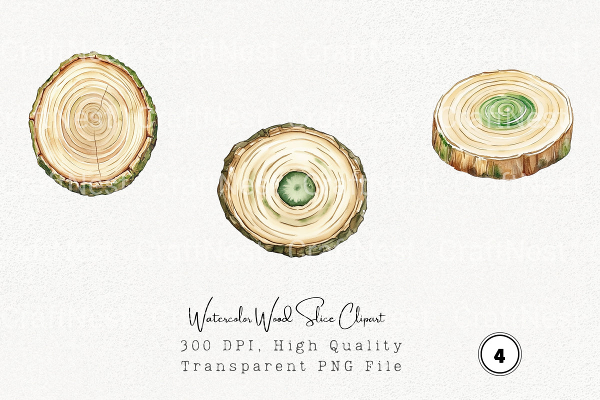 Wood Slice Clipart Bundle